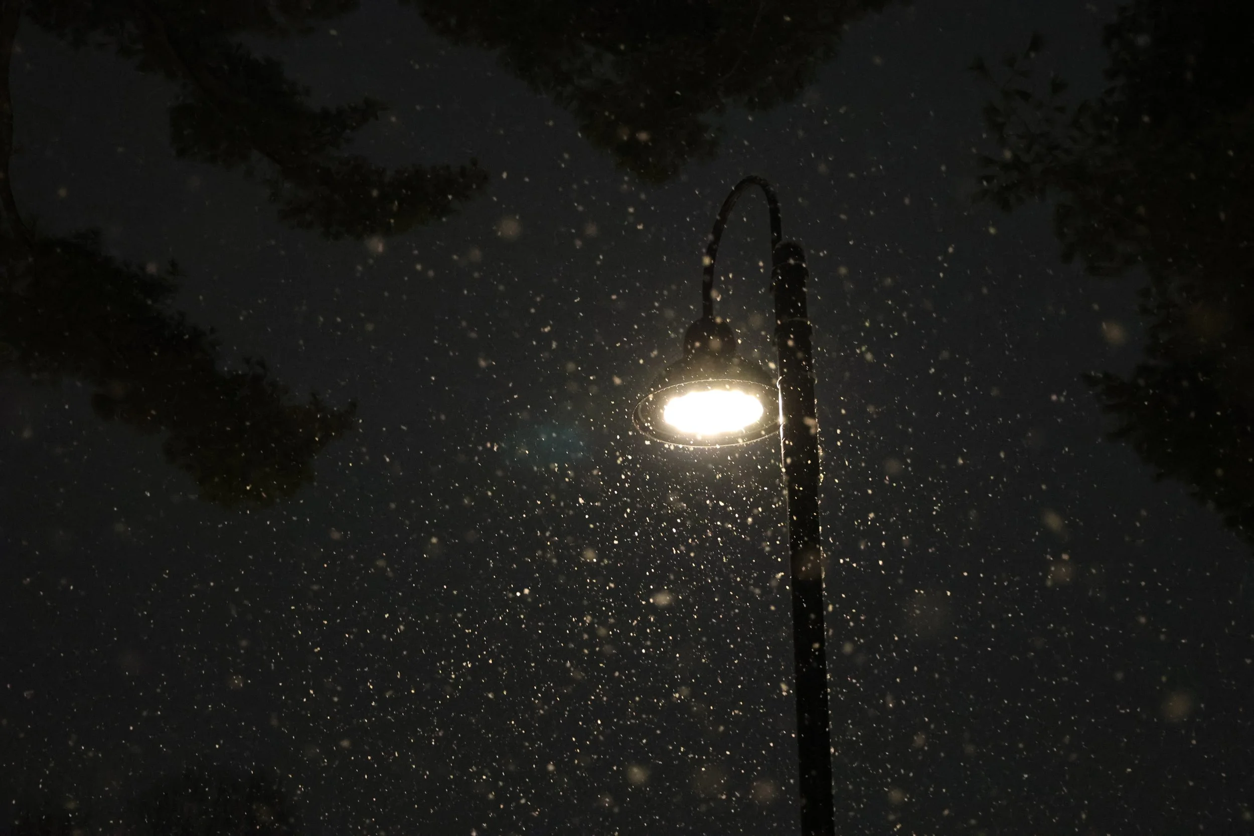 Choate Winter 01.JPG