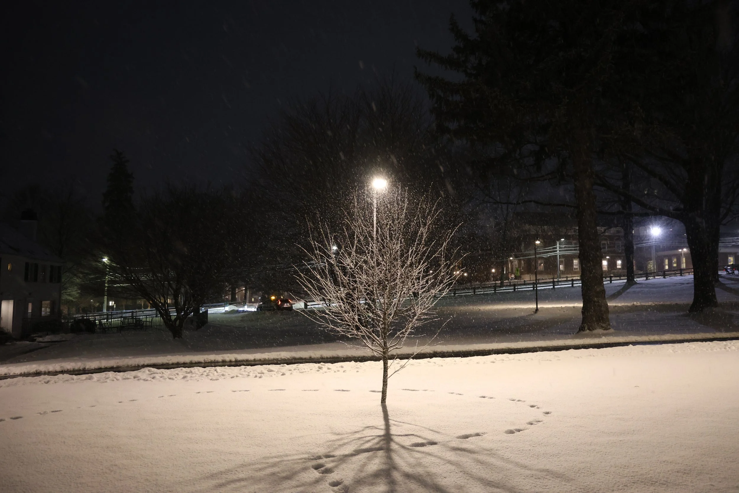 Choate Winter 06.JPG