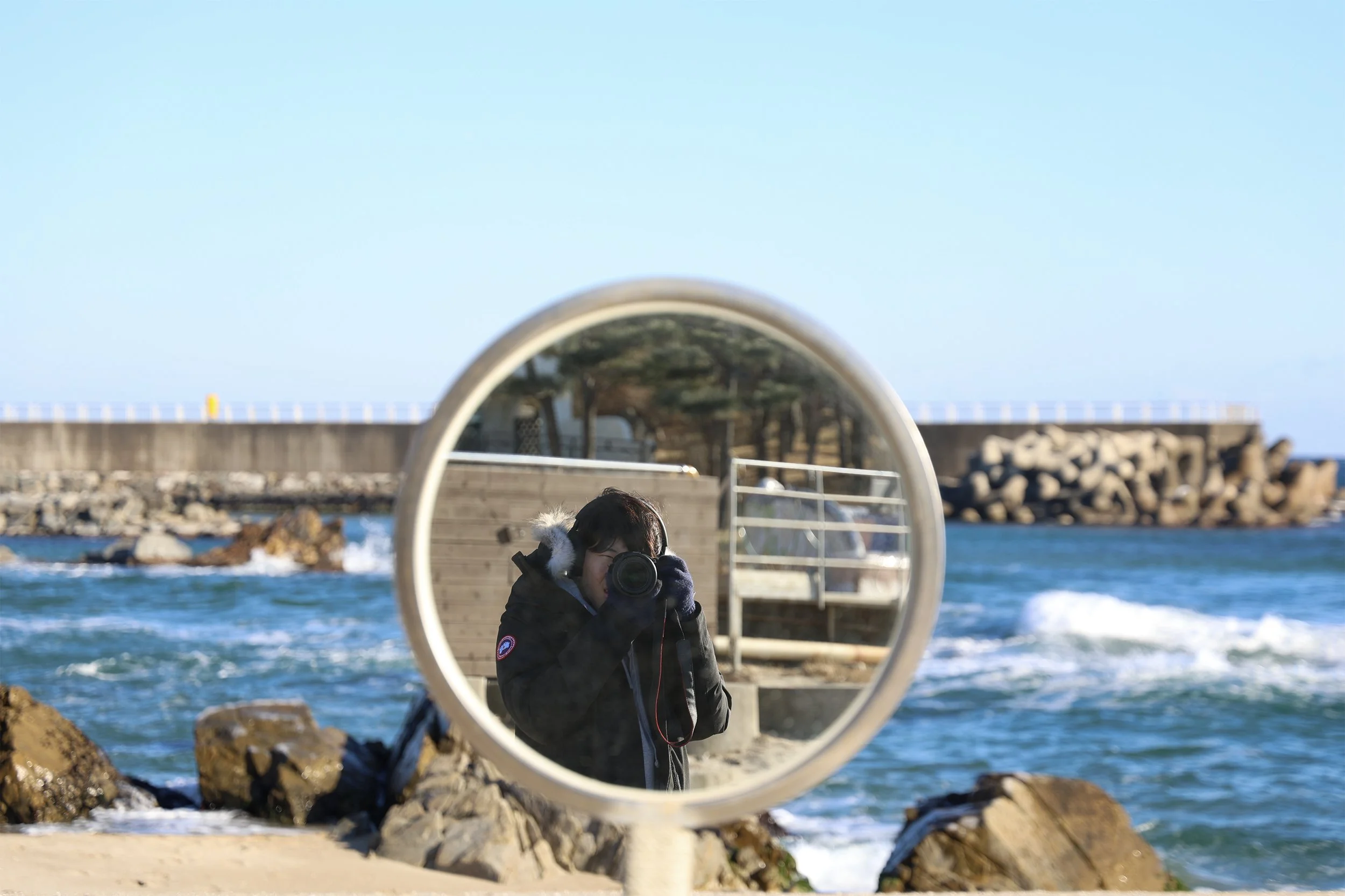 Yang Yang 2024 08.jpg