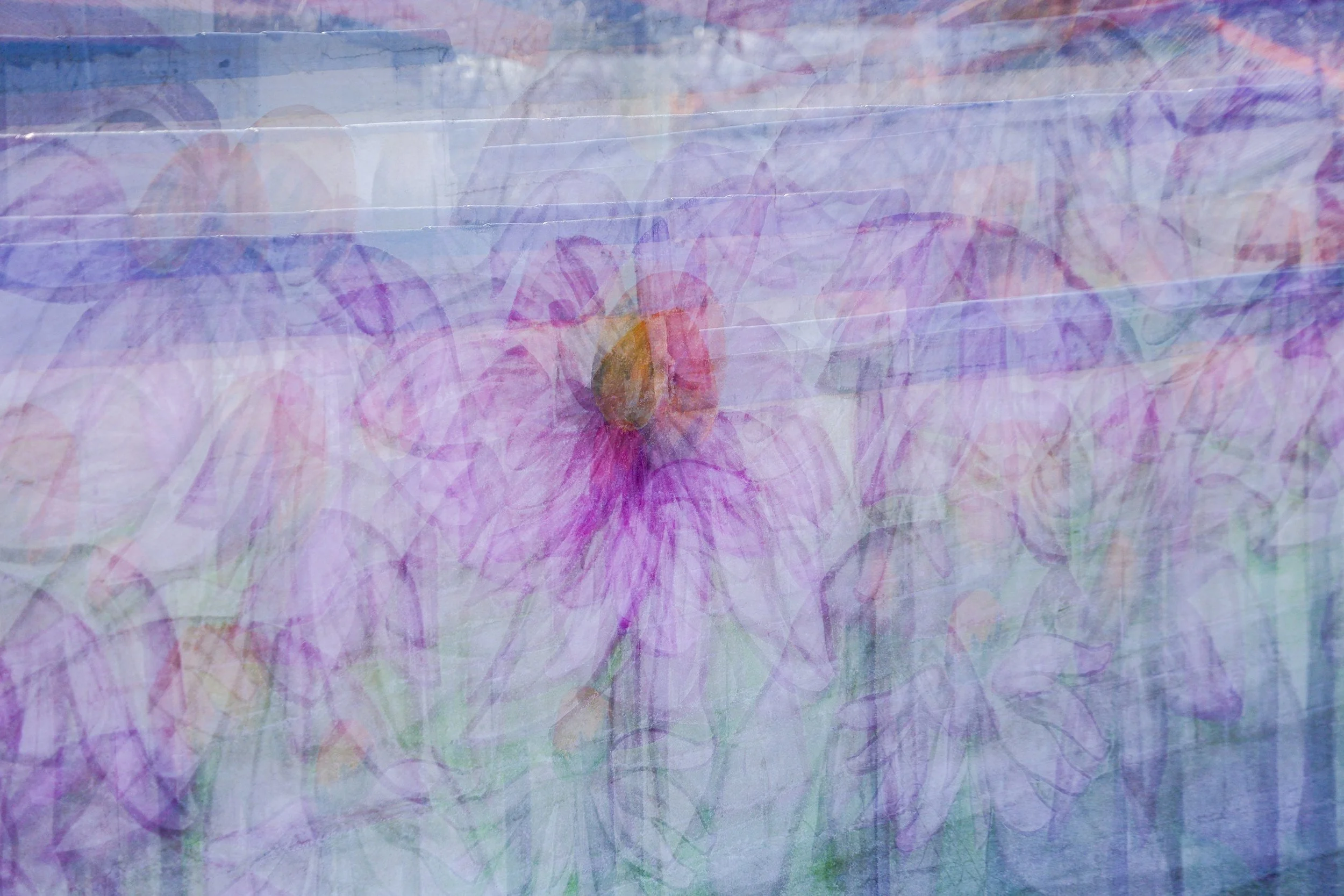 Photographic Drawing 05.jpg