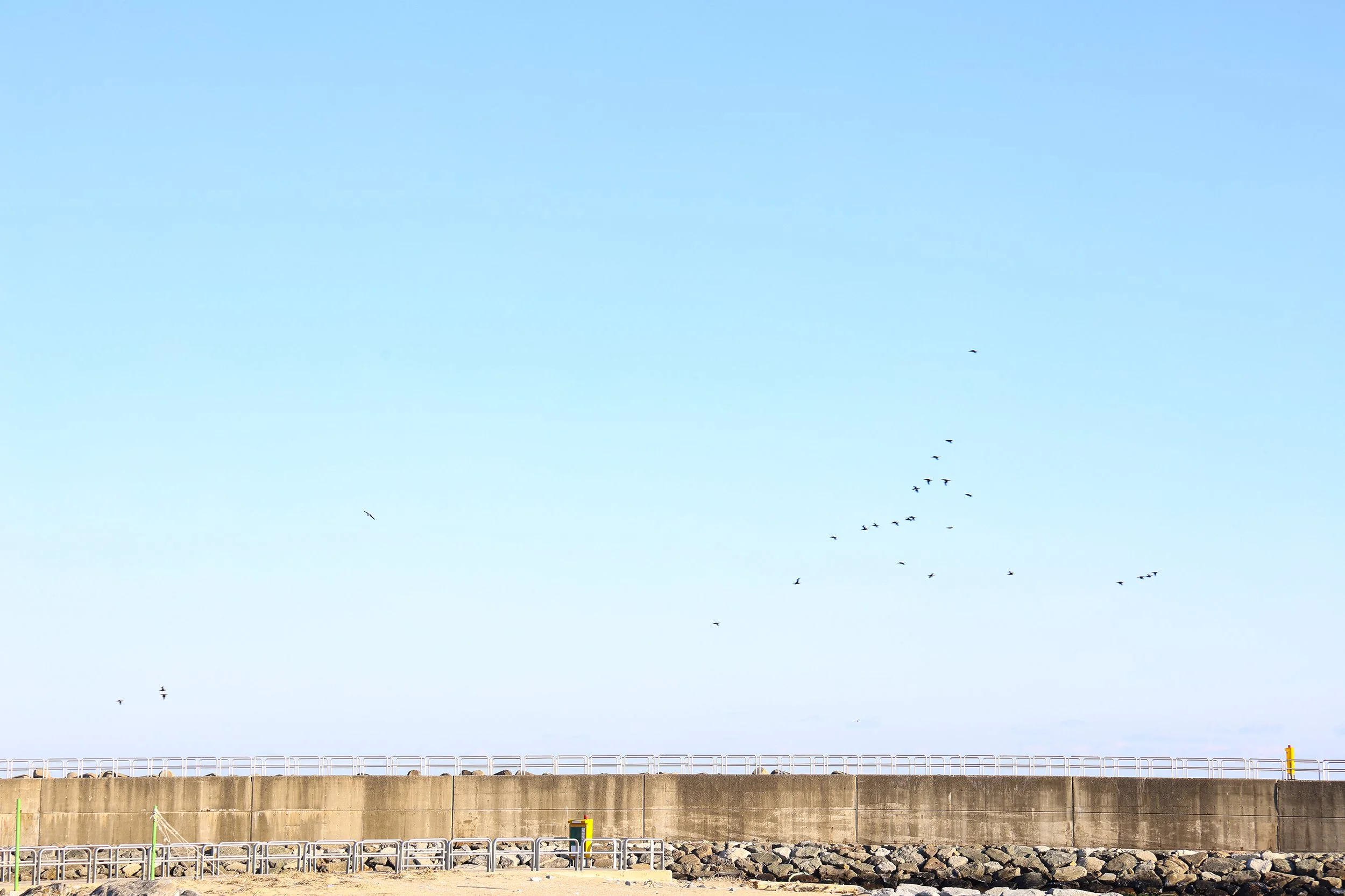 Yang Yang 2024 04.jpg