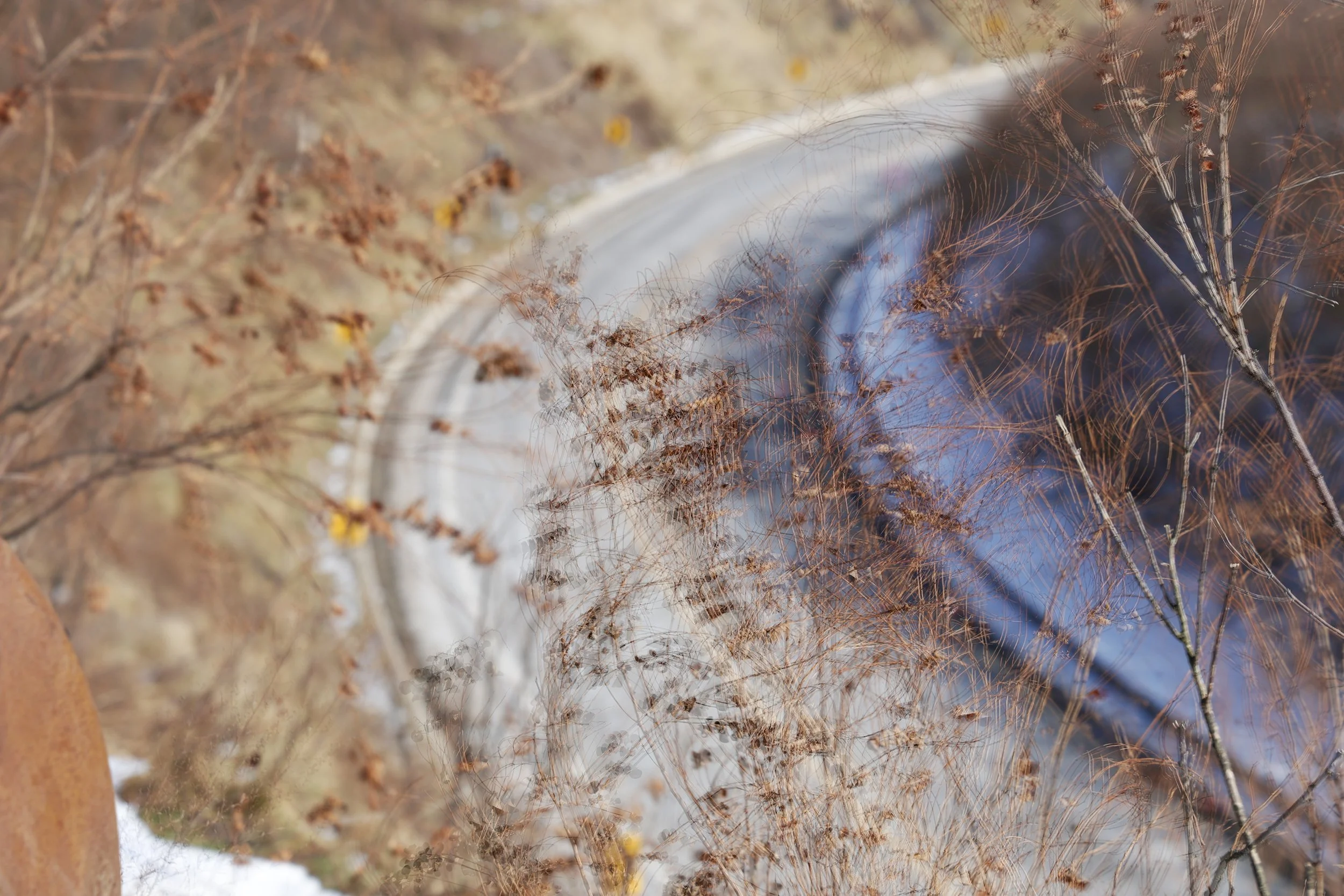 Photographic Drawing 07.jpg