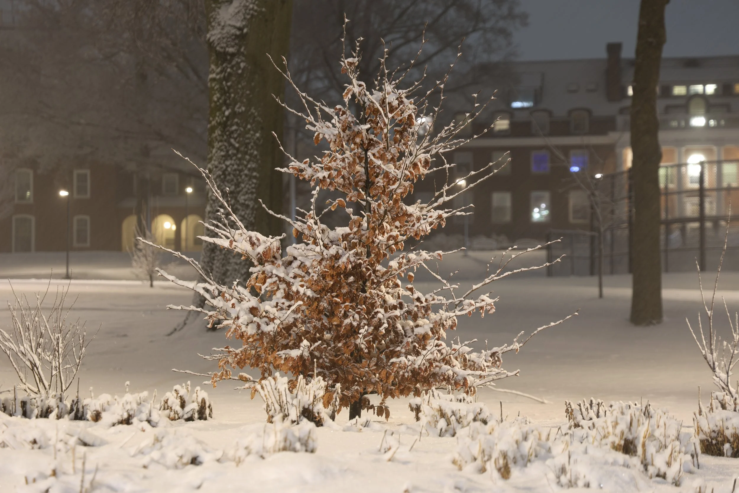 Choate Winter 04.JPG