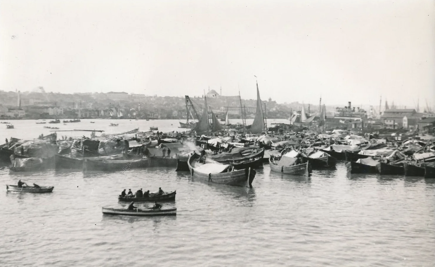 Lakerda and Istanbul's plethora of fish
