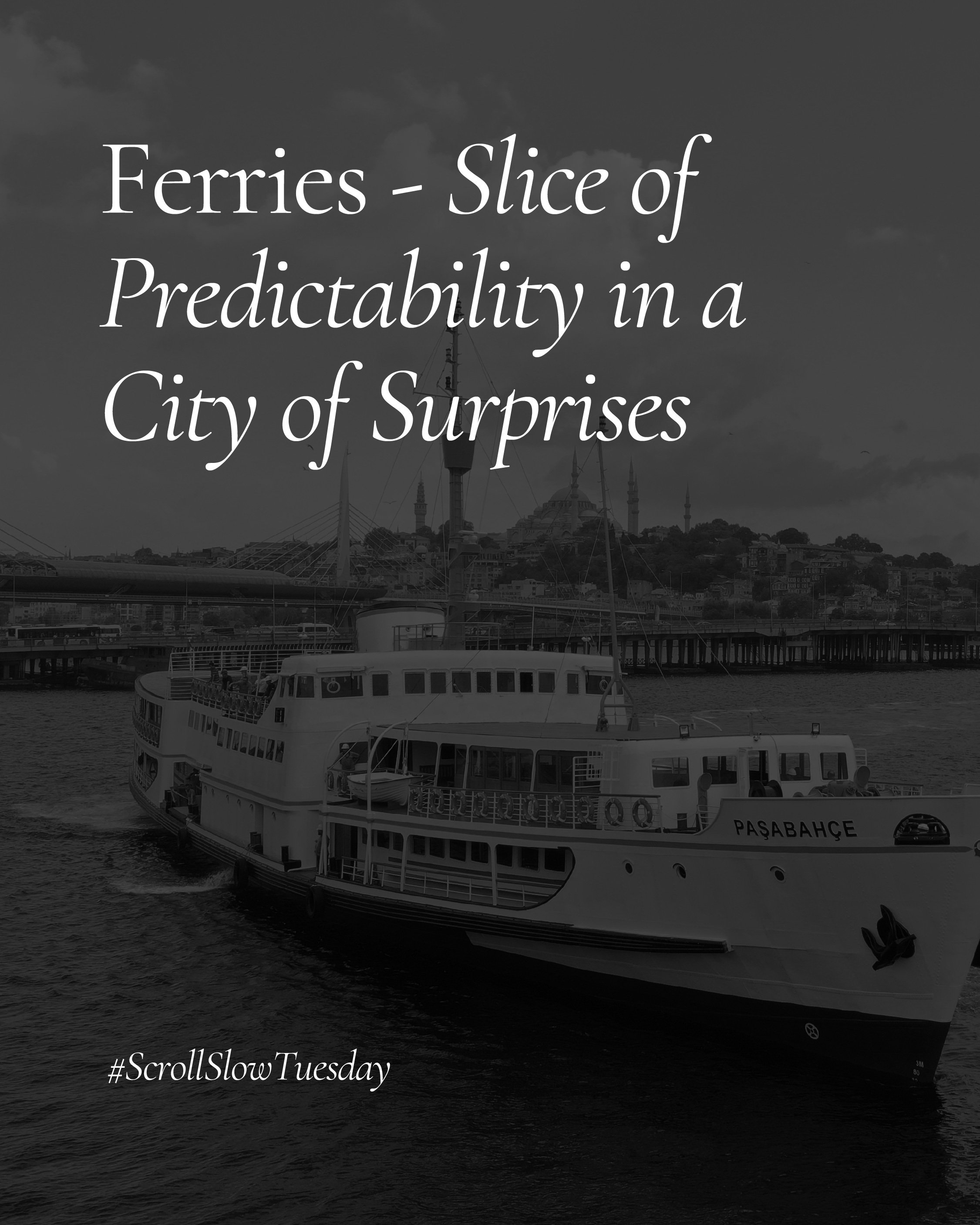 Ferries - Slice of Predictability in a City of Surprises