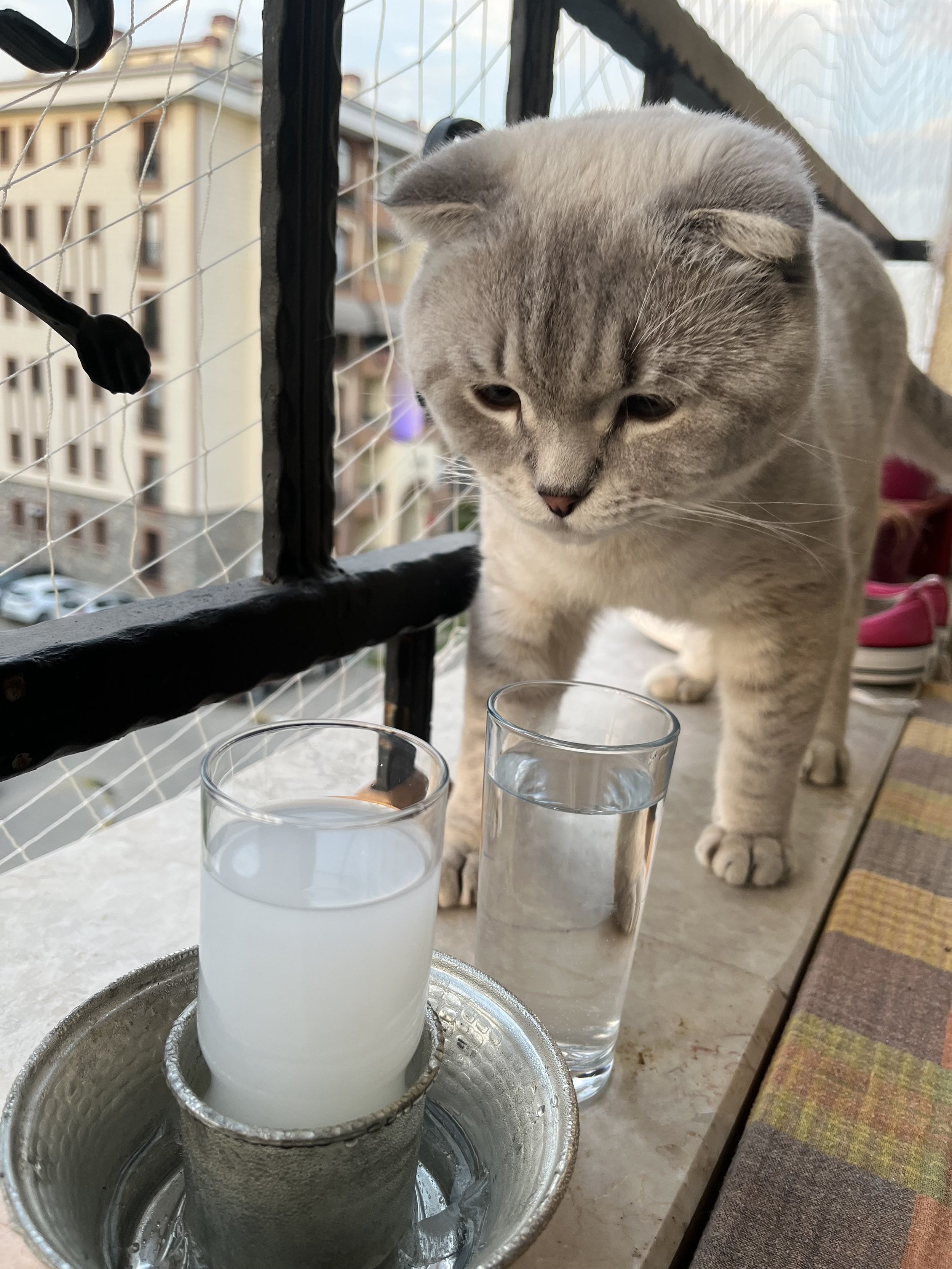 IMG_3840 - sedef dizer.jpeg