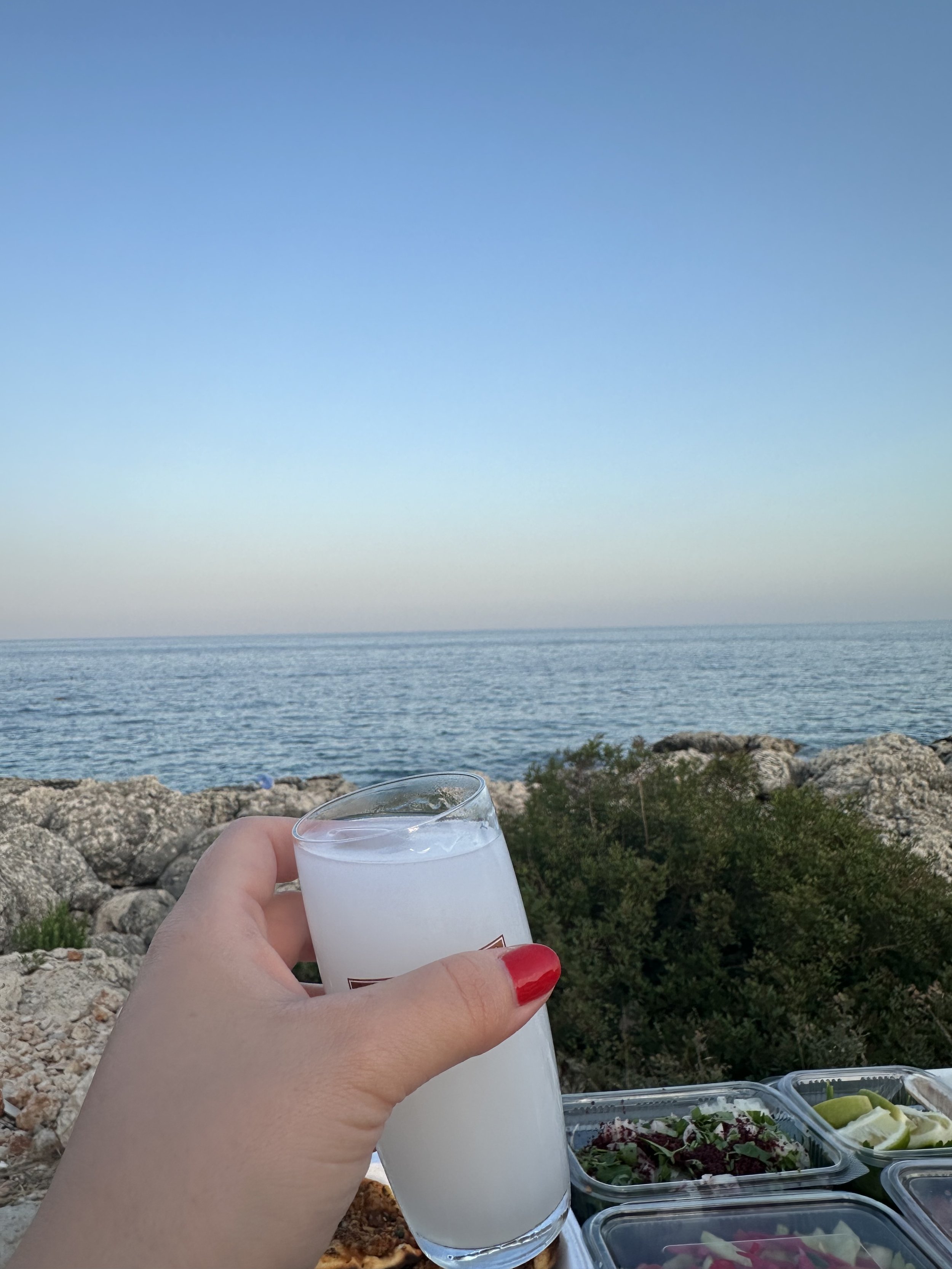 IMG_1020 - Tugce Taskin.jpeg