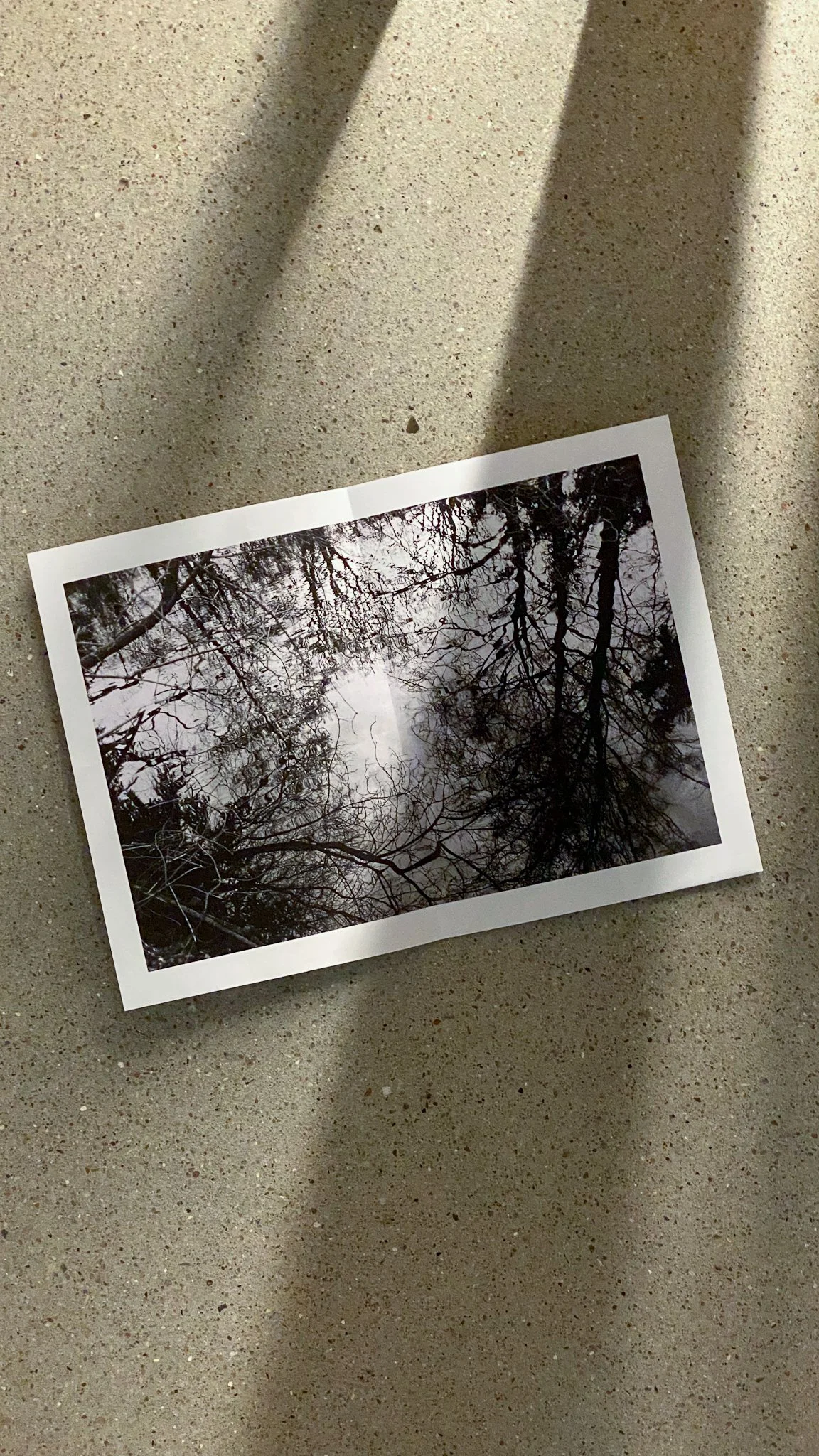 BOO_INSIDE009.jpg (Copy)