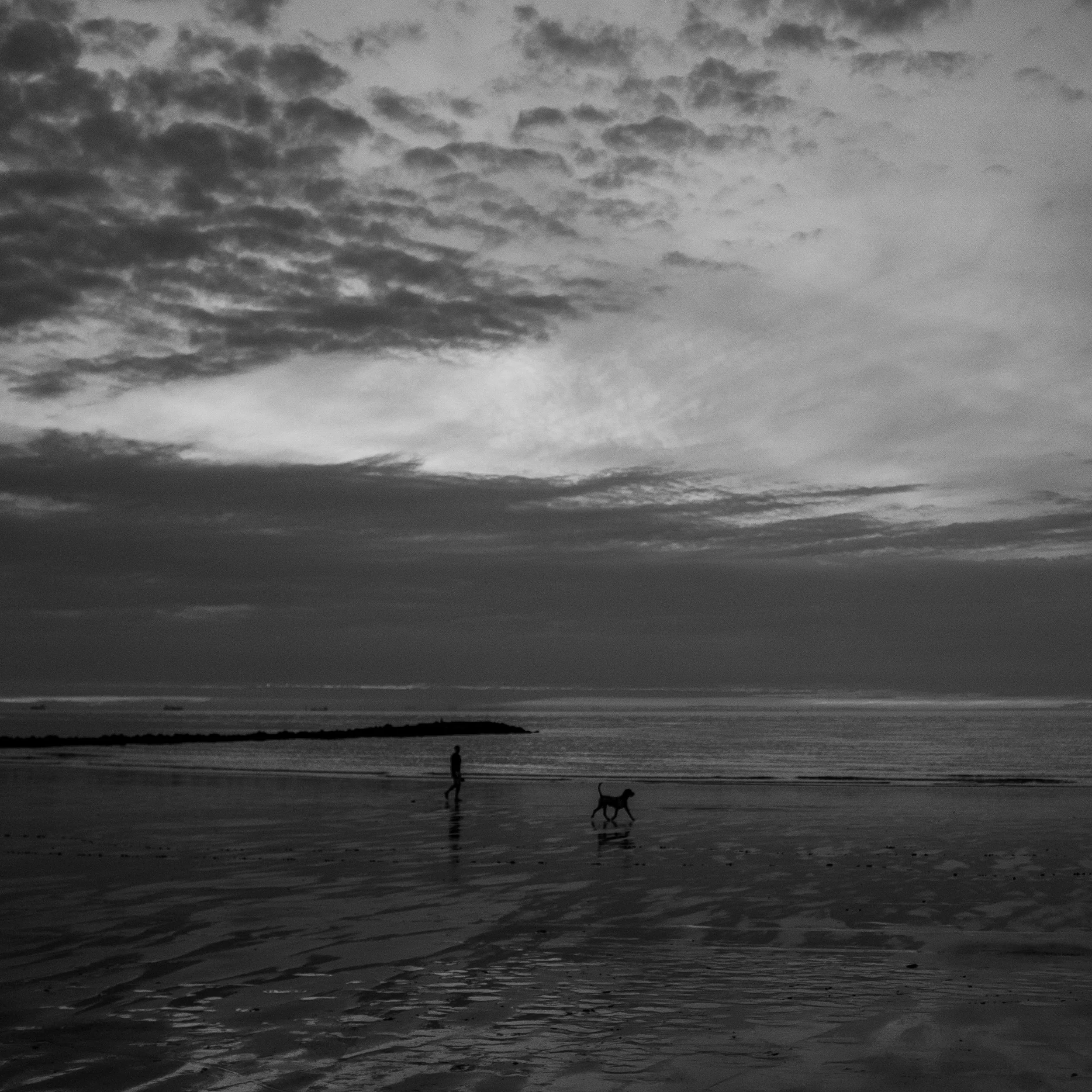 UNTIL THE PEACE BROKE.JPG