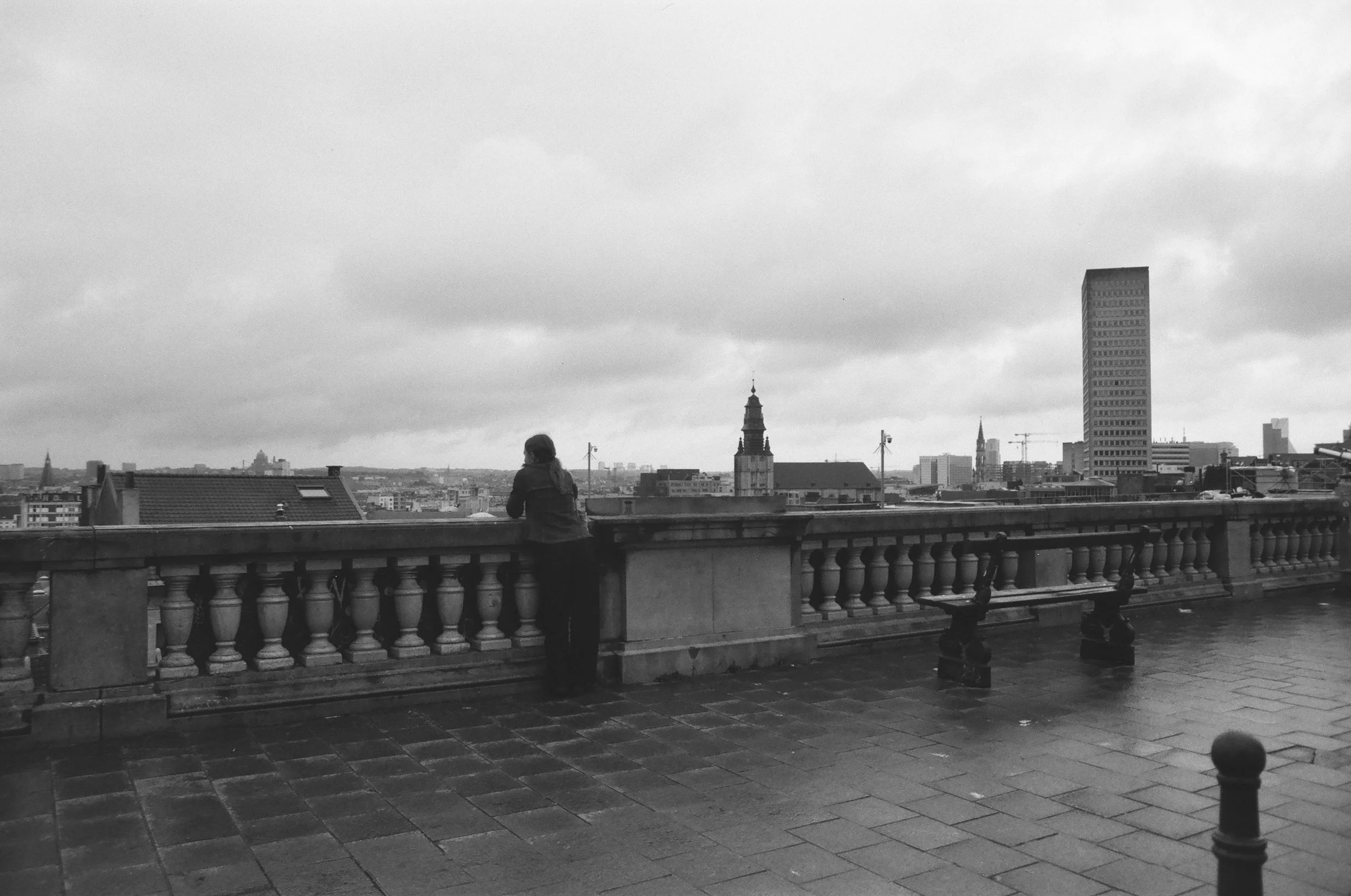 Poelaert Something.jpg