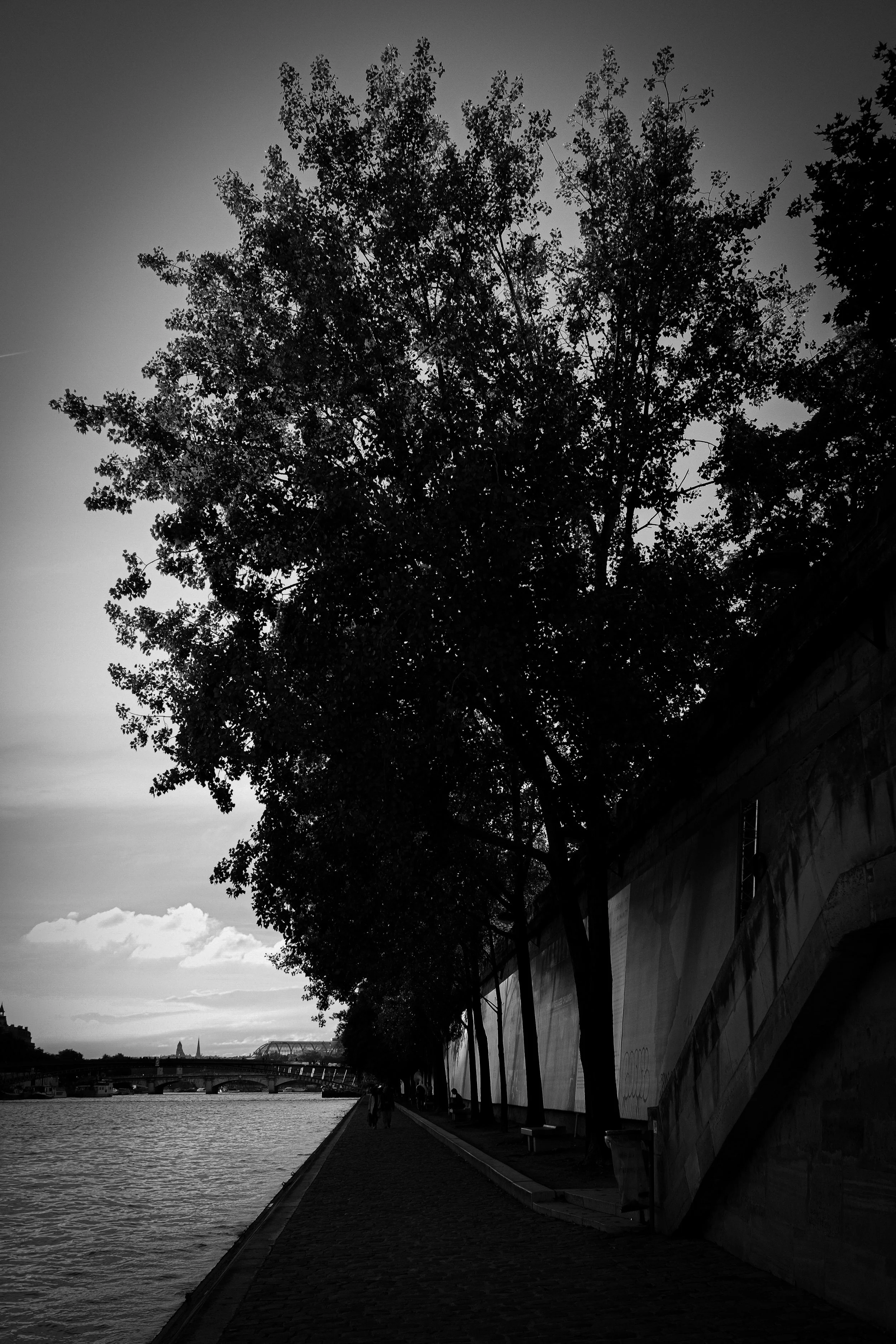 IT IS NOT BLACK OR WHITE.JPG