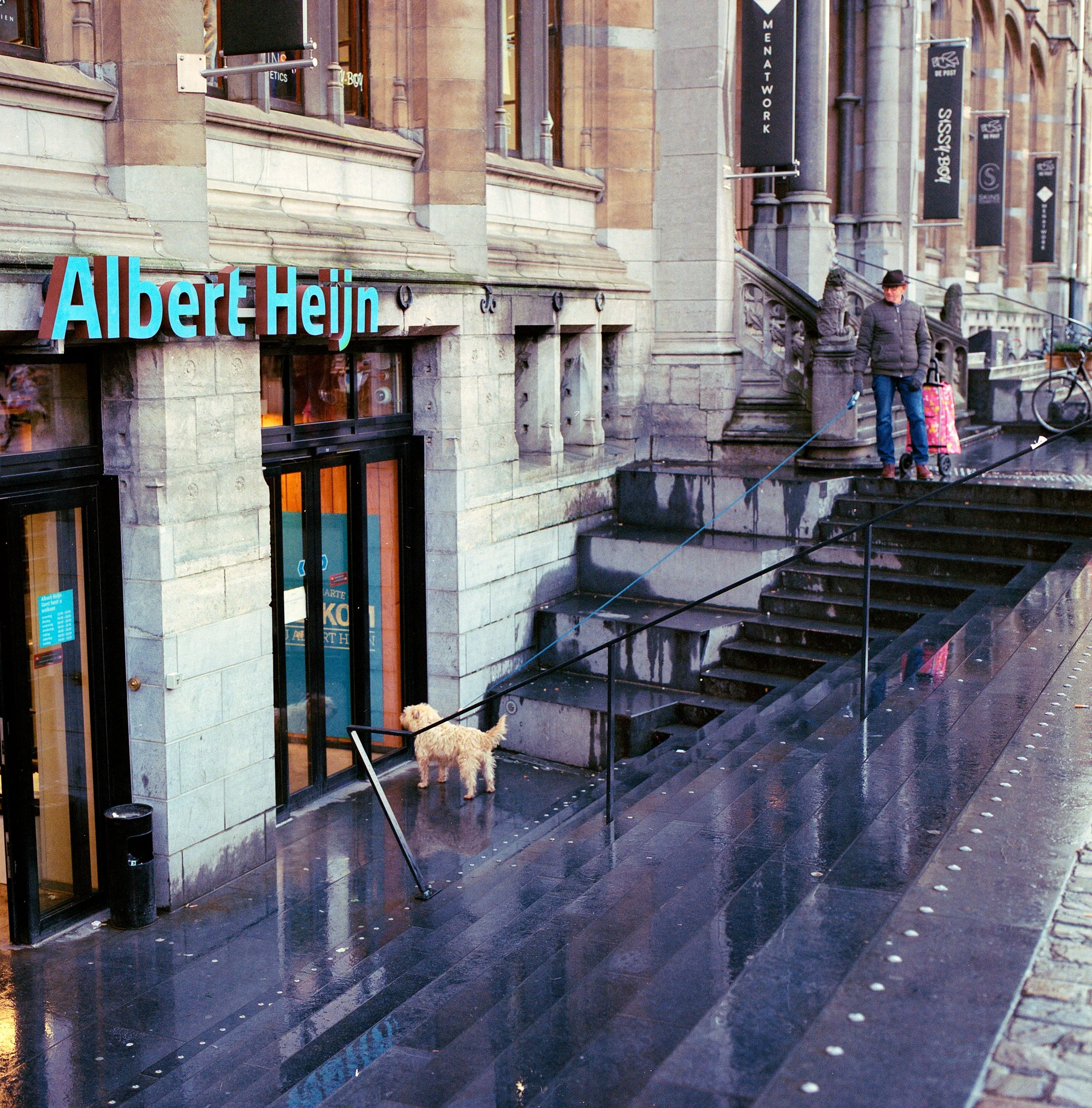 Four Legged Friend.jpg