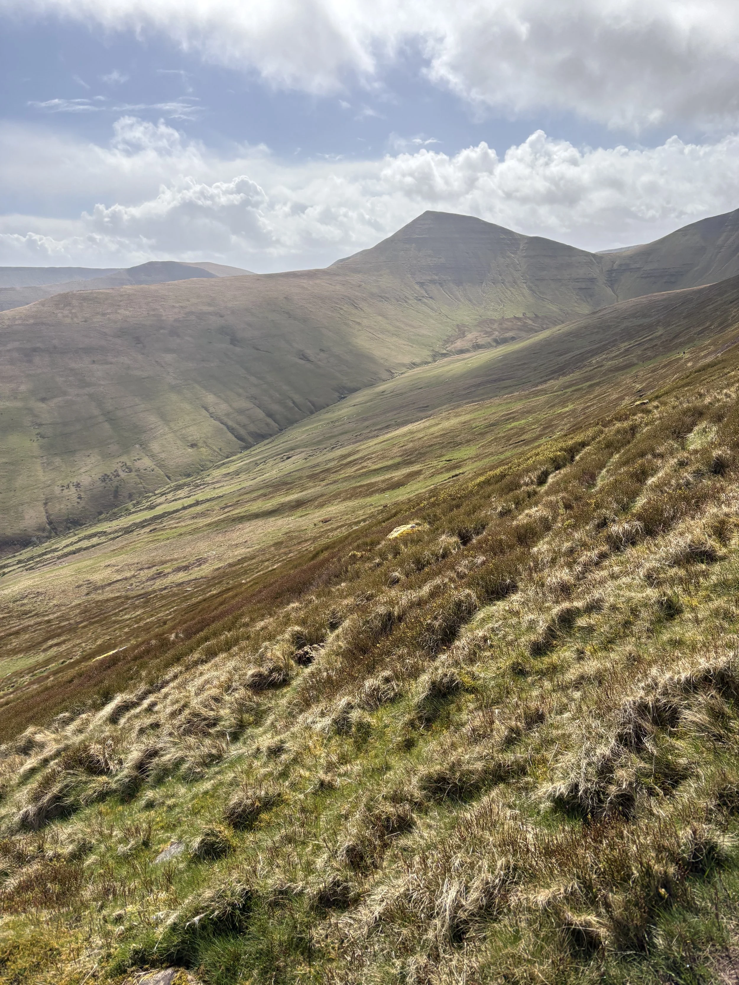 Cribyn Fell Race