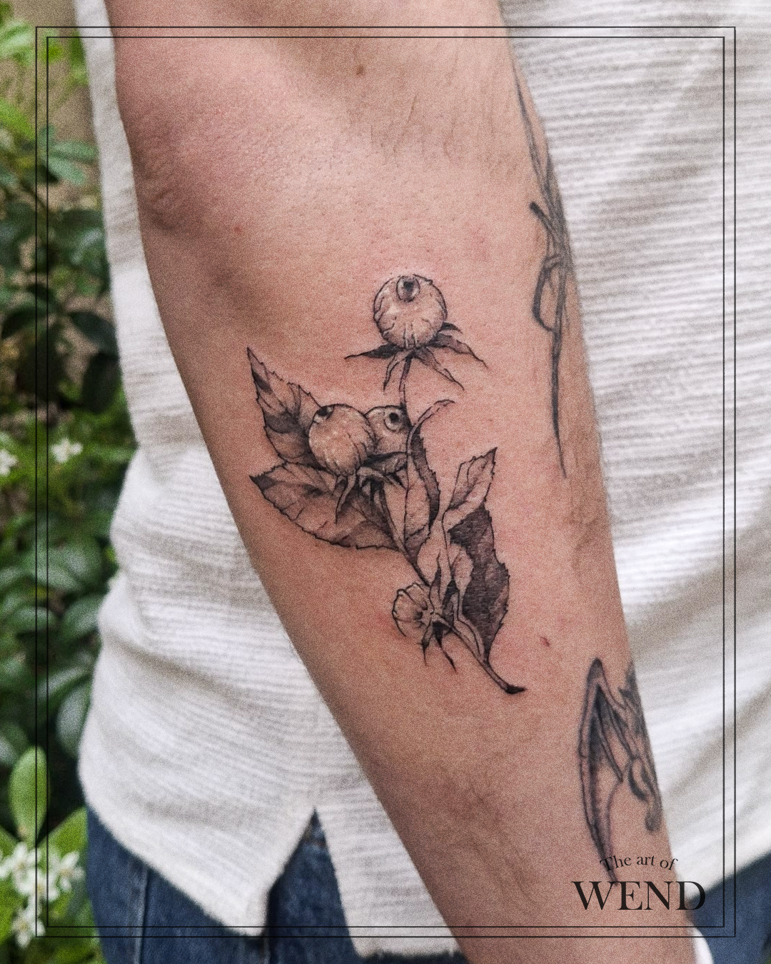 tatouage illustratif-yeux witchy-wend-pigment studio.png