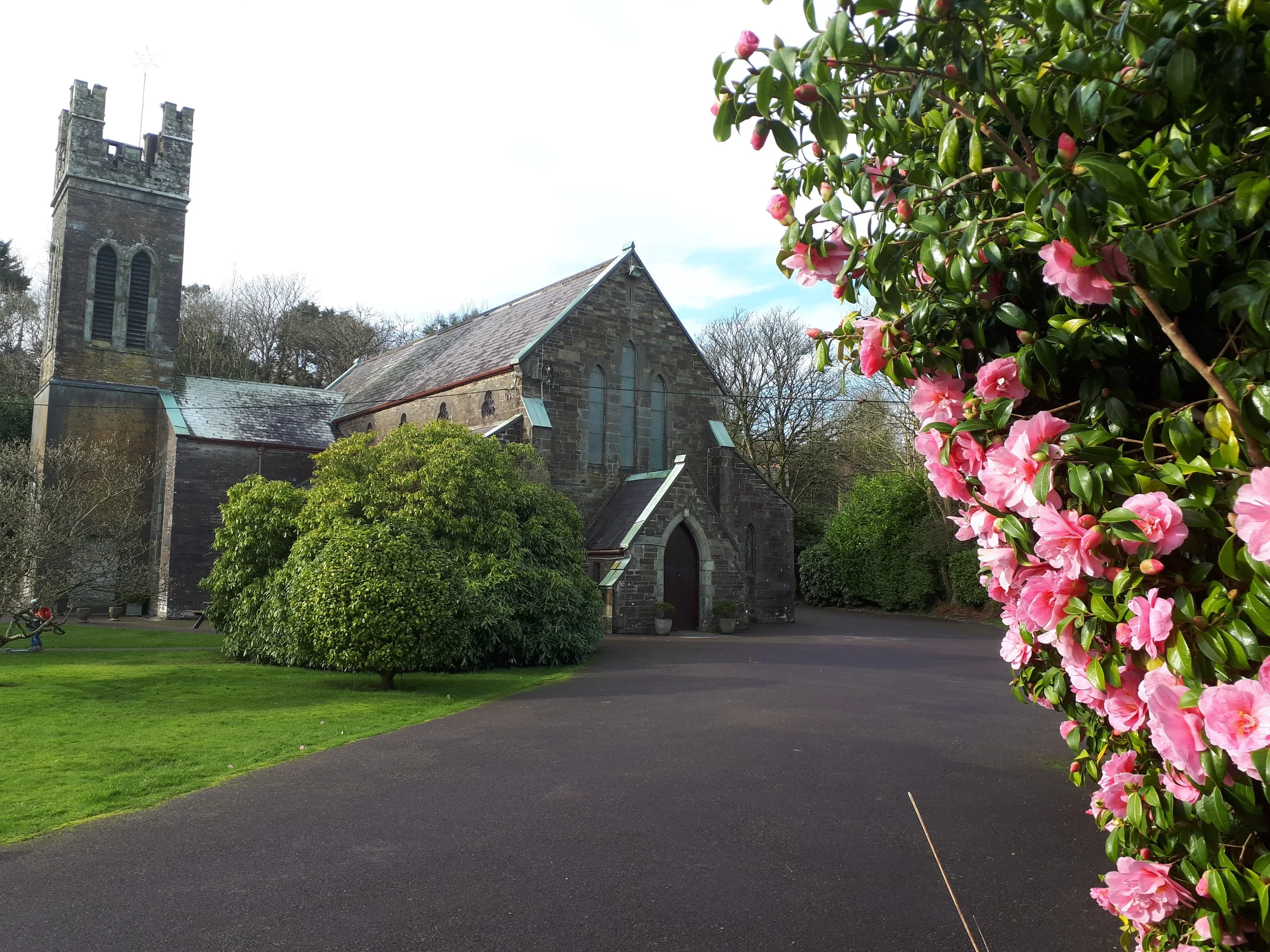 Services for June