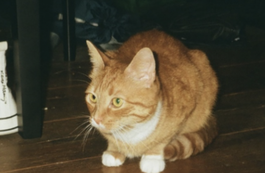 George & Vonnegut (2027) - Lucas Gortemaker