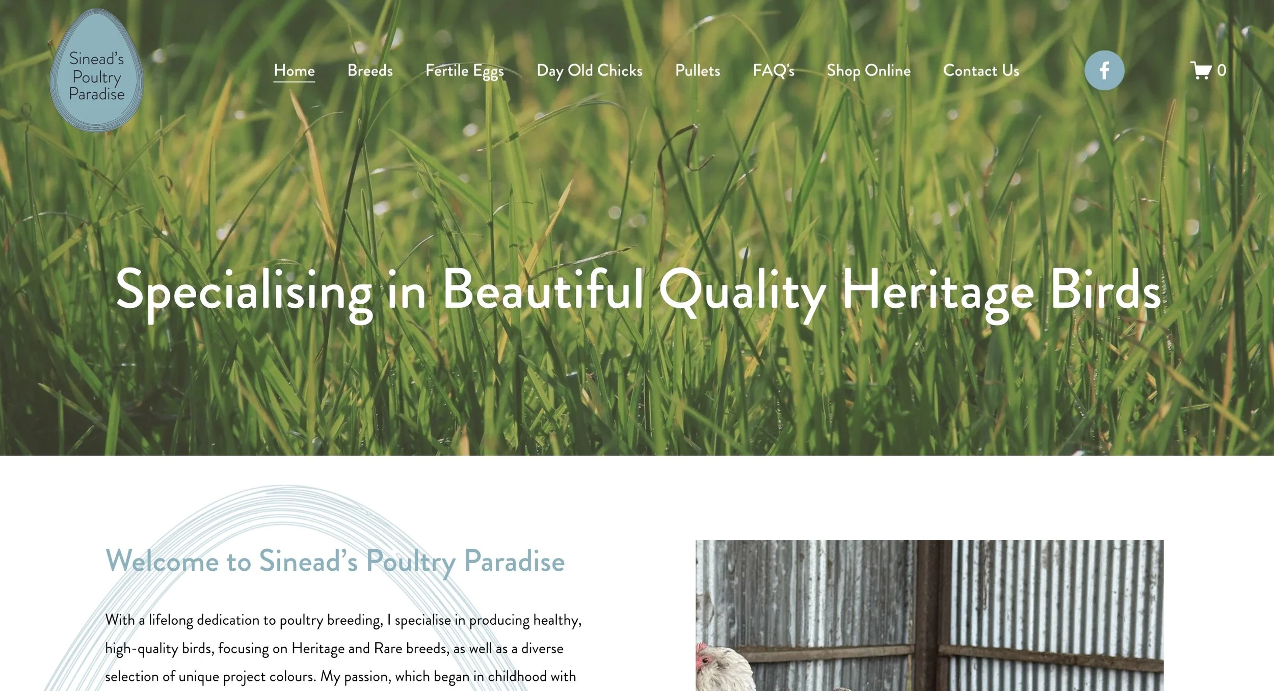 Sineadβs Poultry Paradise