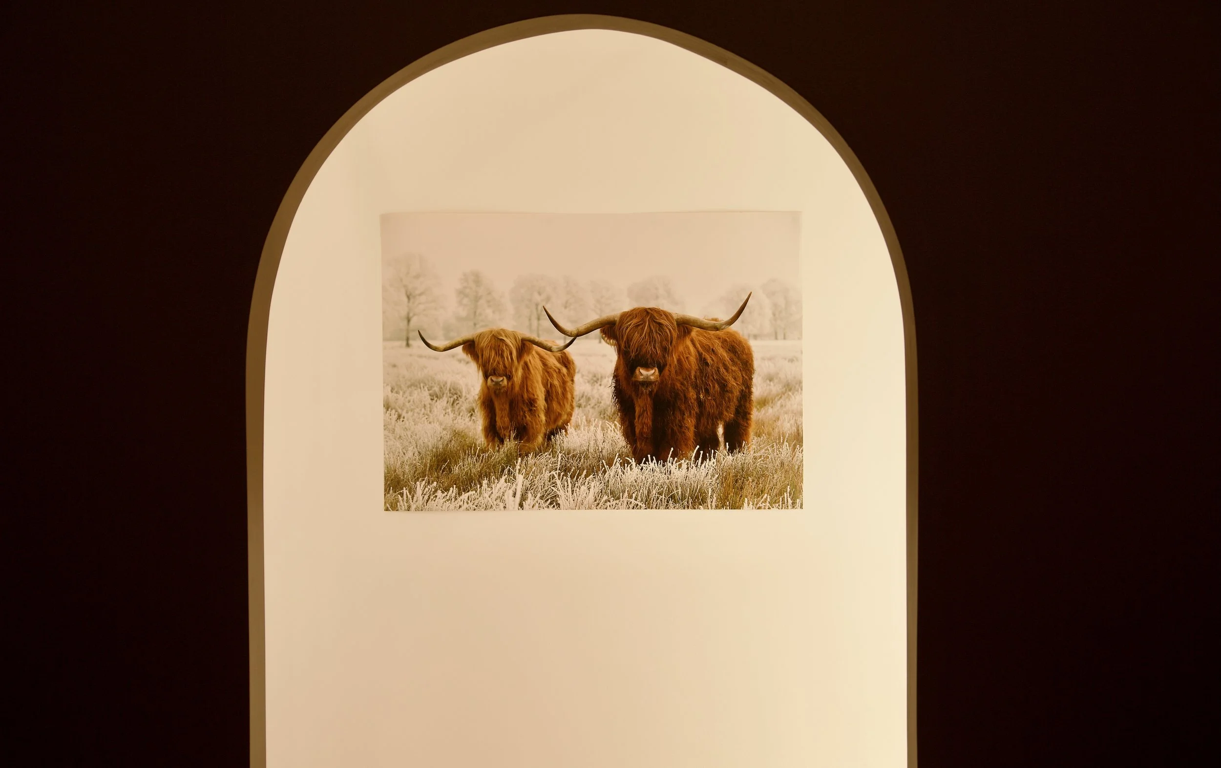 Coastal Clippers - (7).jpeg