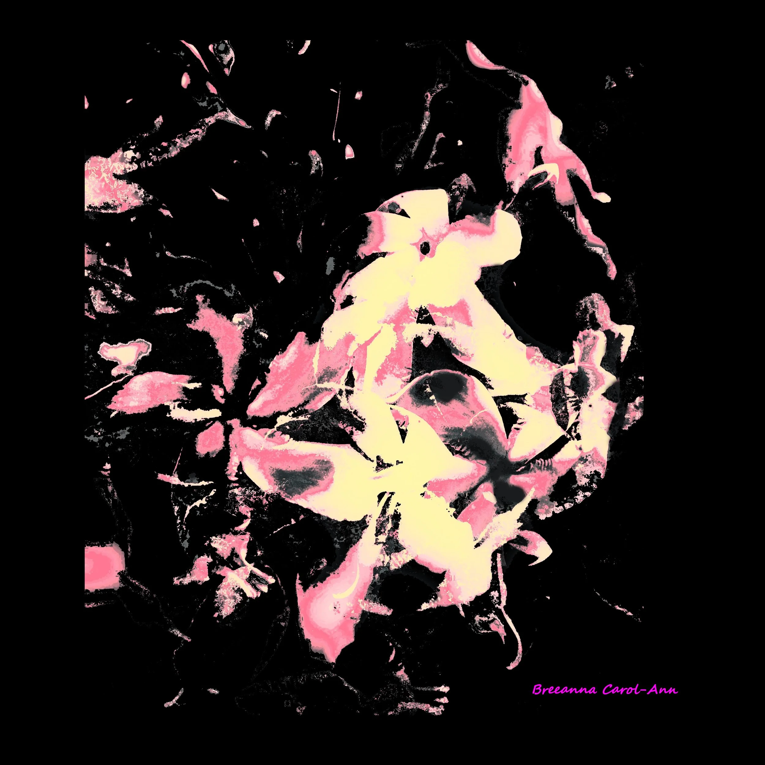 Pink Flower Abstract.jpg