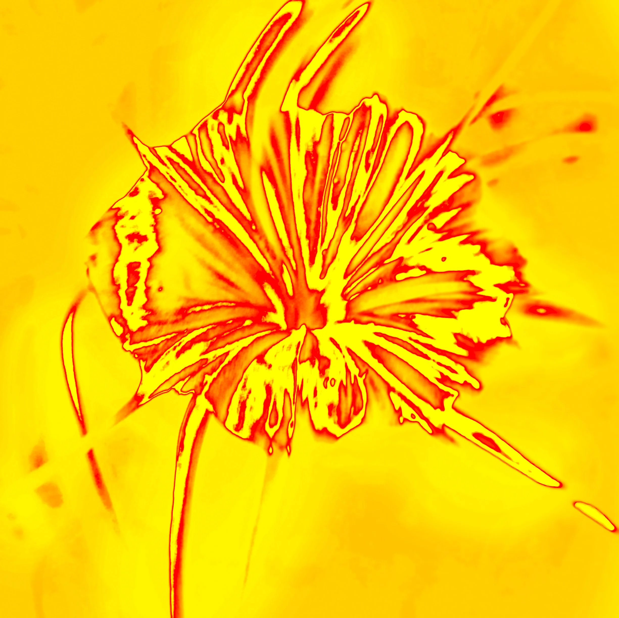 Yellow Alien Flower.jpg