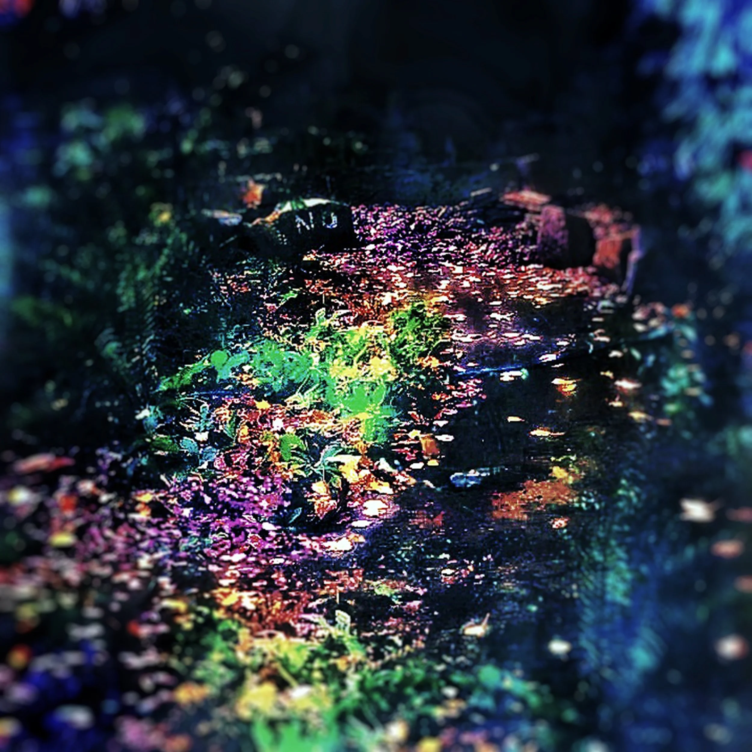 No Road 12x12.jpg