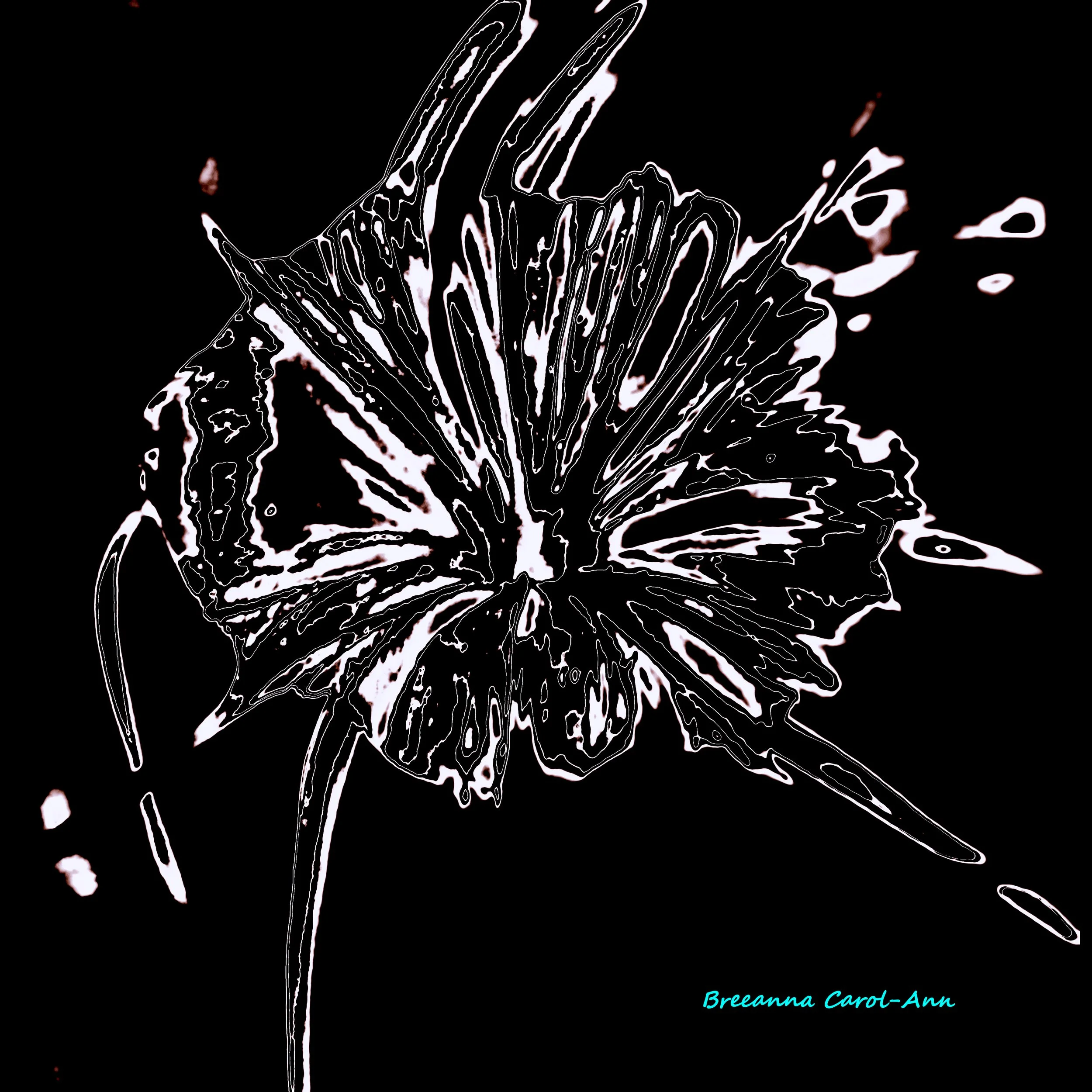 Untitled-1Artboard 14.jpg