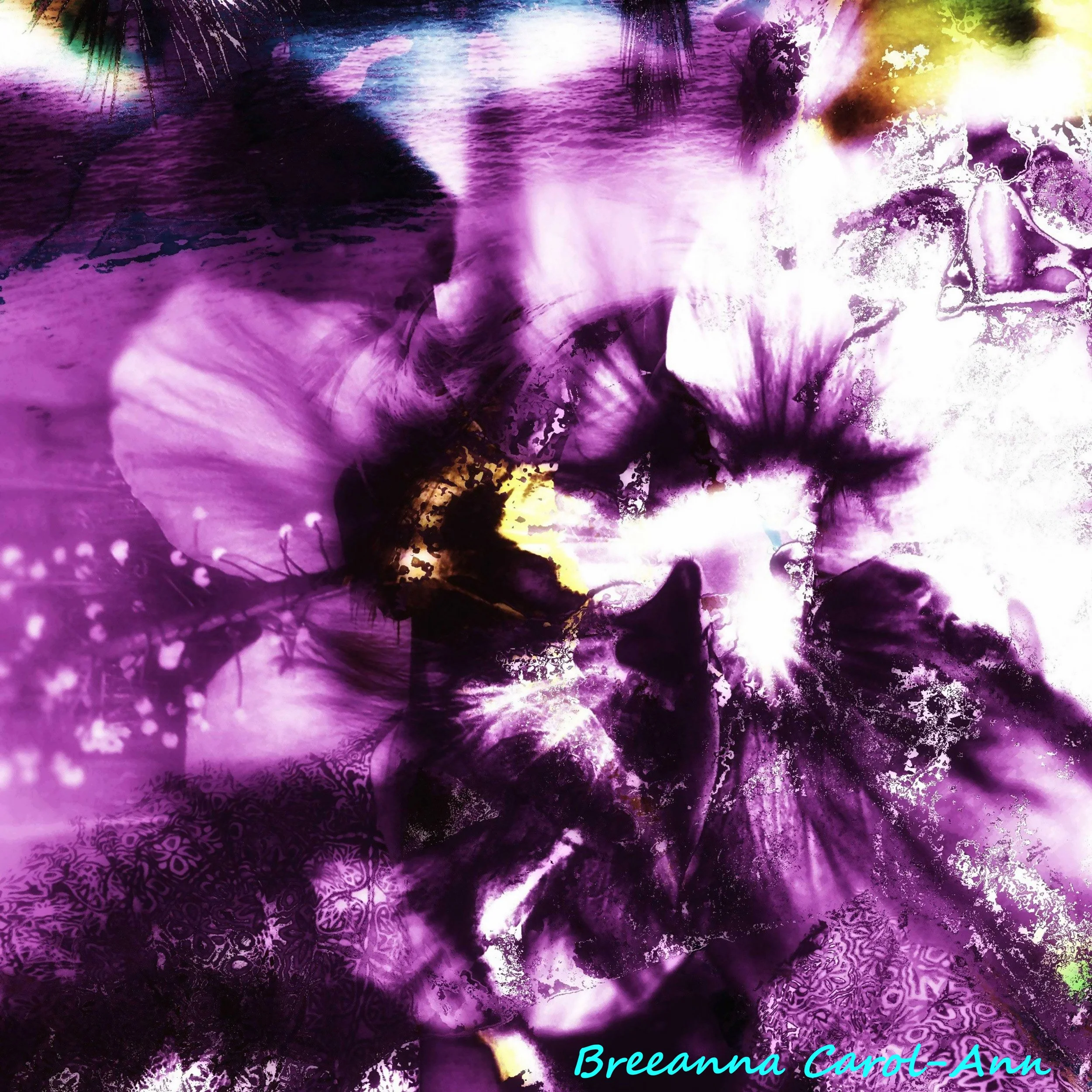 Frangipani Abstract.jpg