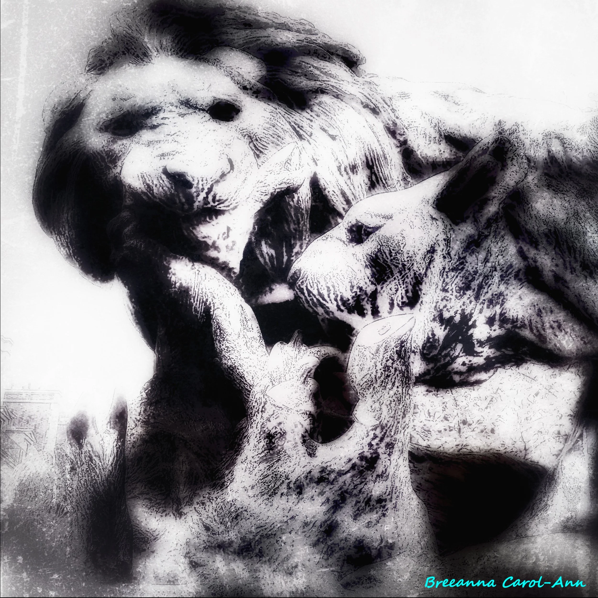 Untitled-1Artboard 13.jpg