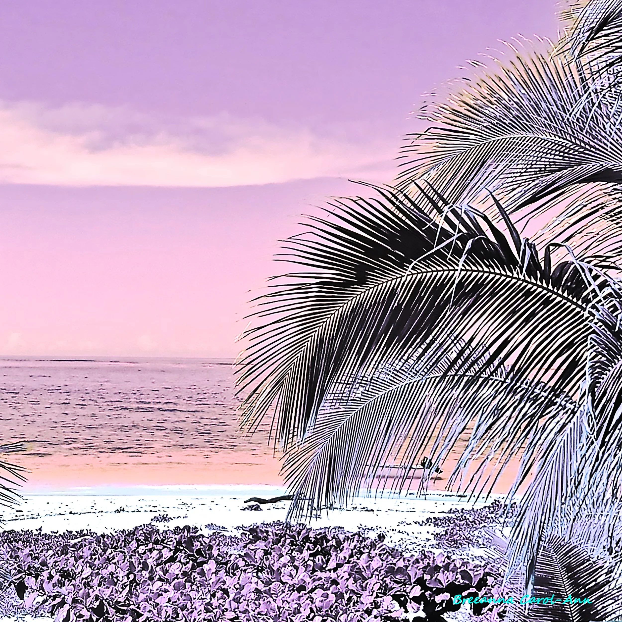 Pink Palm.jpg