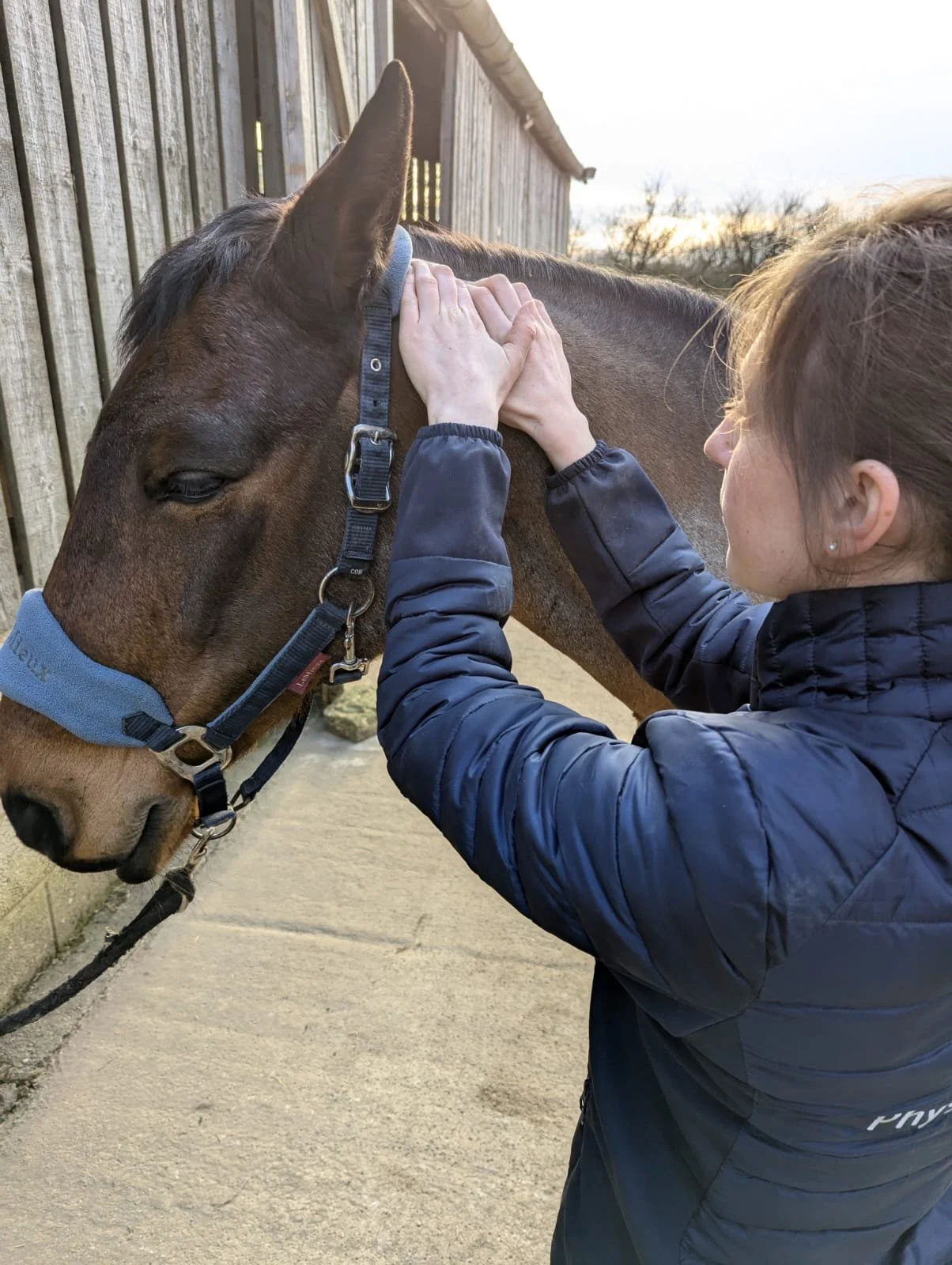 Physiotherapist on horse's neck