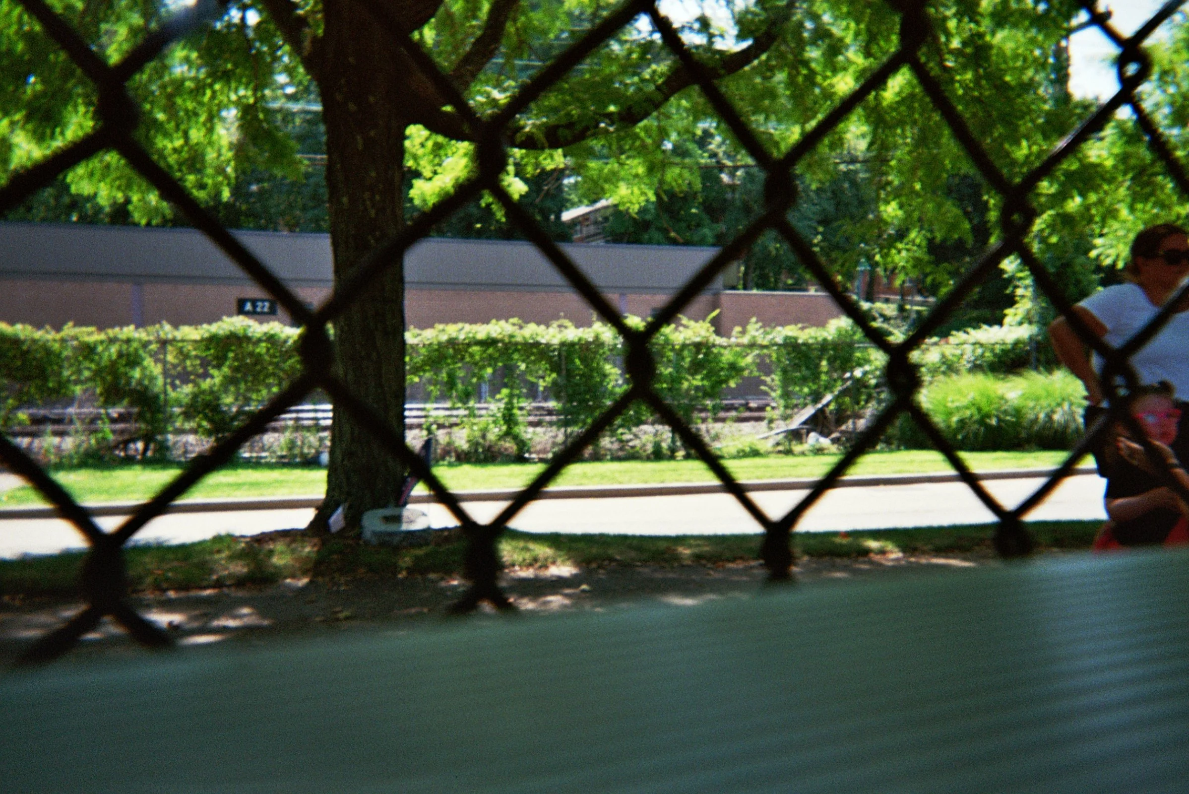 18A_00121.jpg