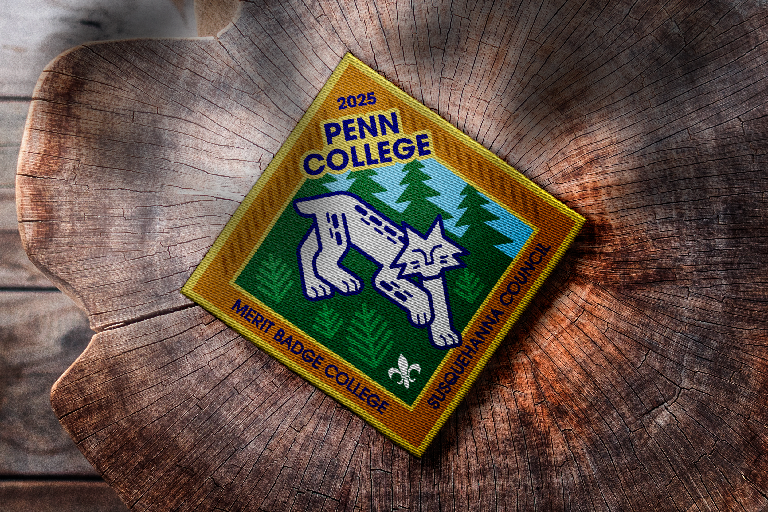 embroidery patch.png