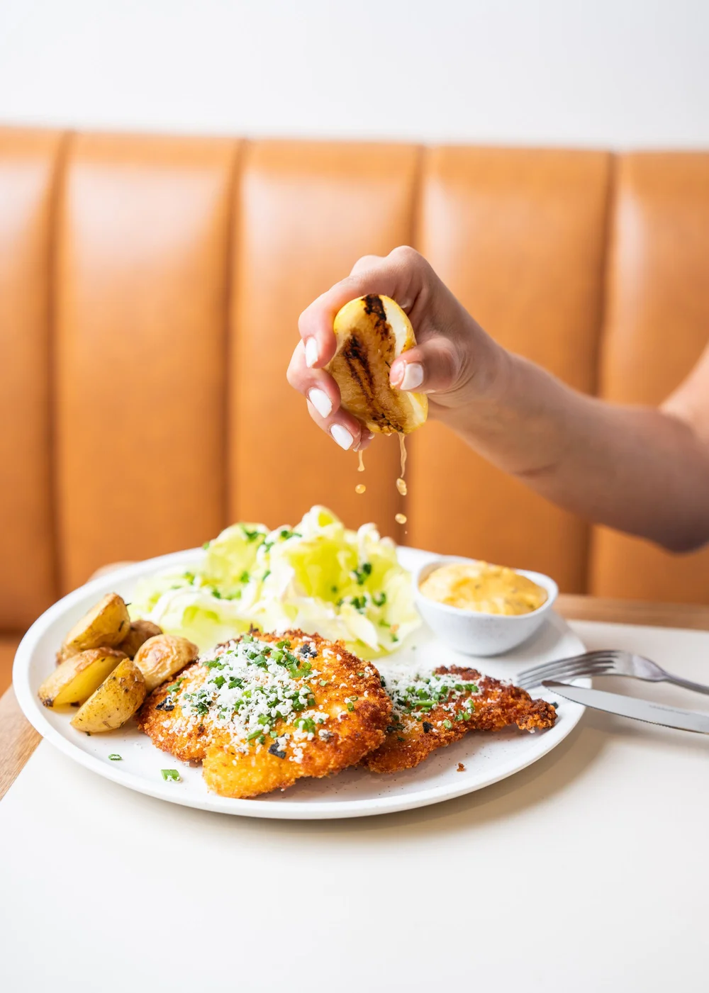 North Point Samples Menu — North Point