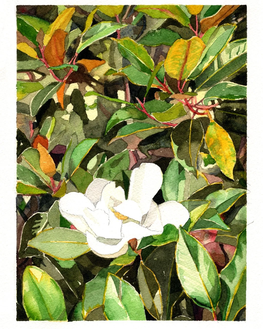 TW Magnolia Post copy.jpg