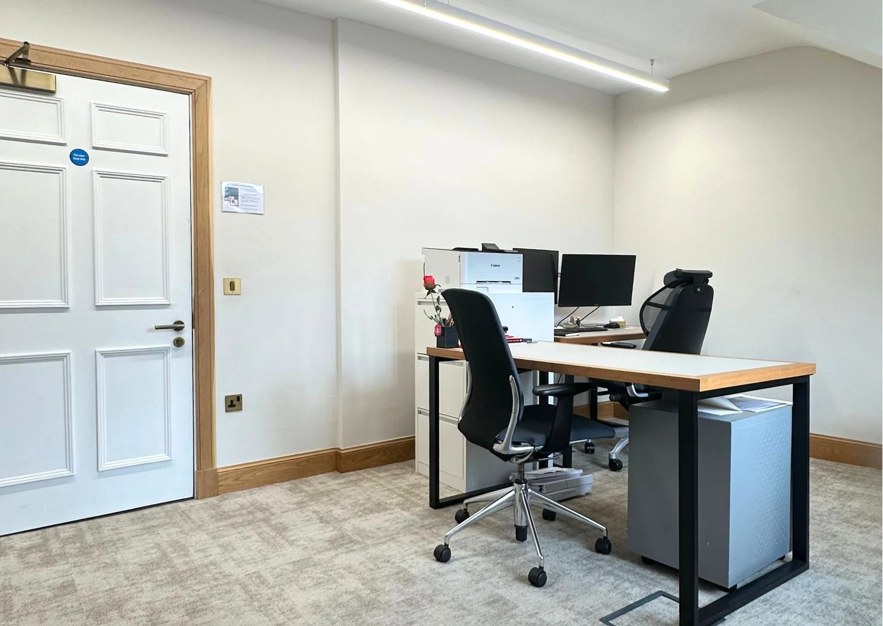 Untitled design-3.jpg