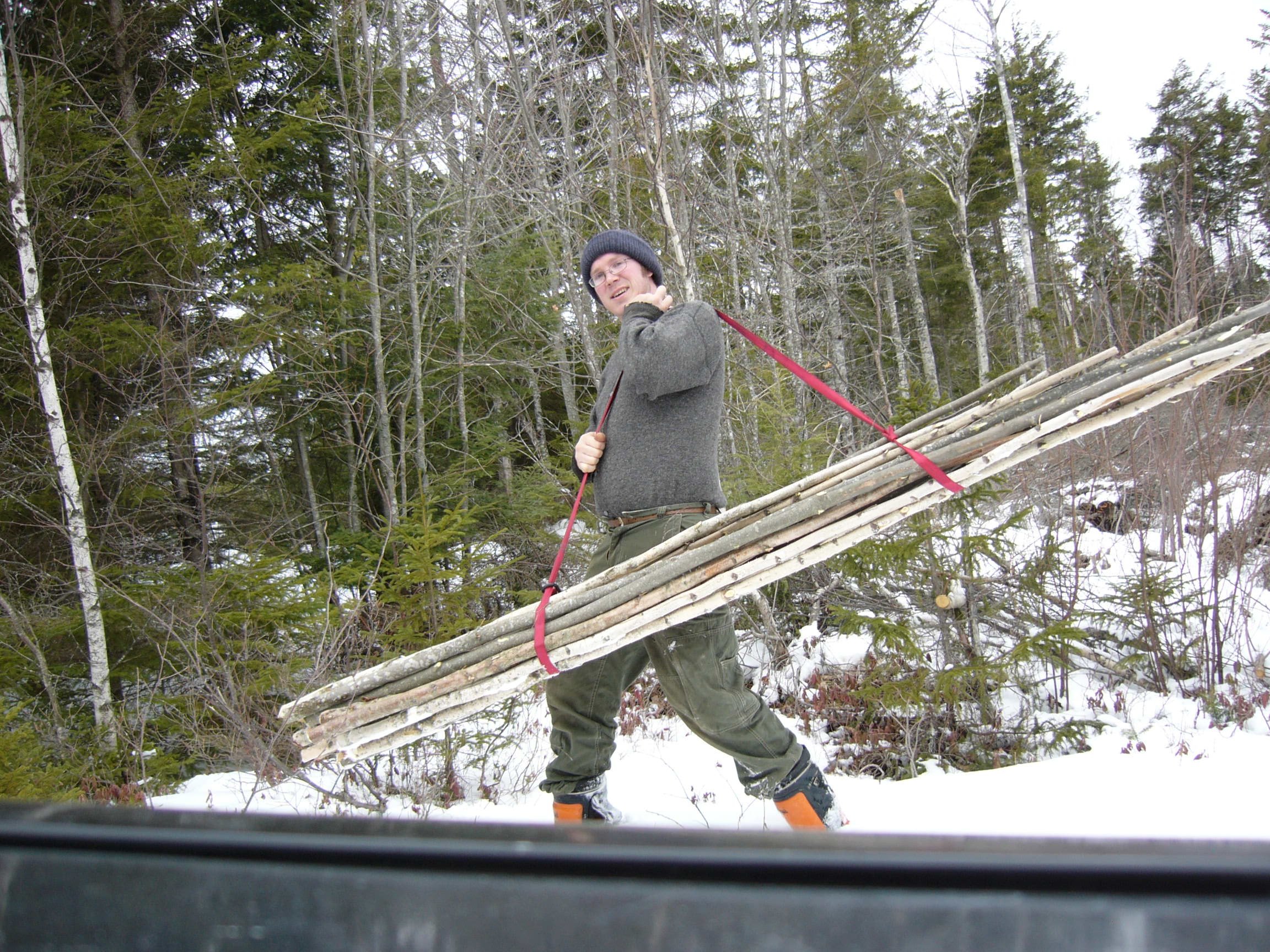 Removed by hand and foot. The practice of coppicing is one of the lowest impact forestry techniques.