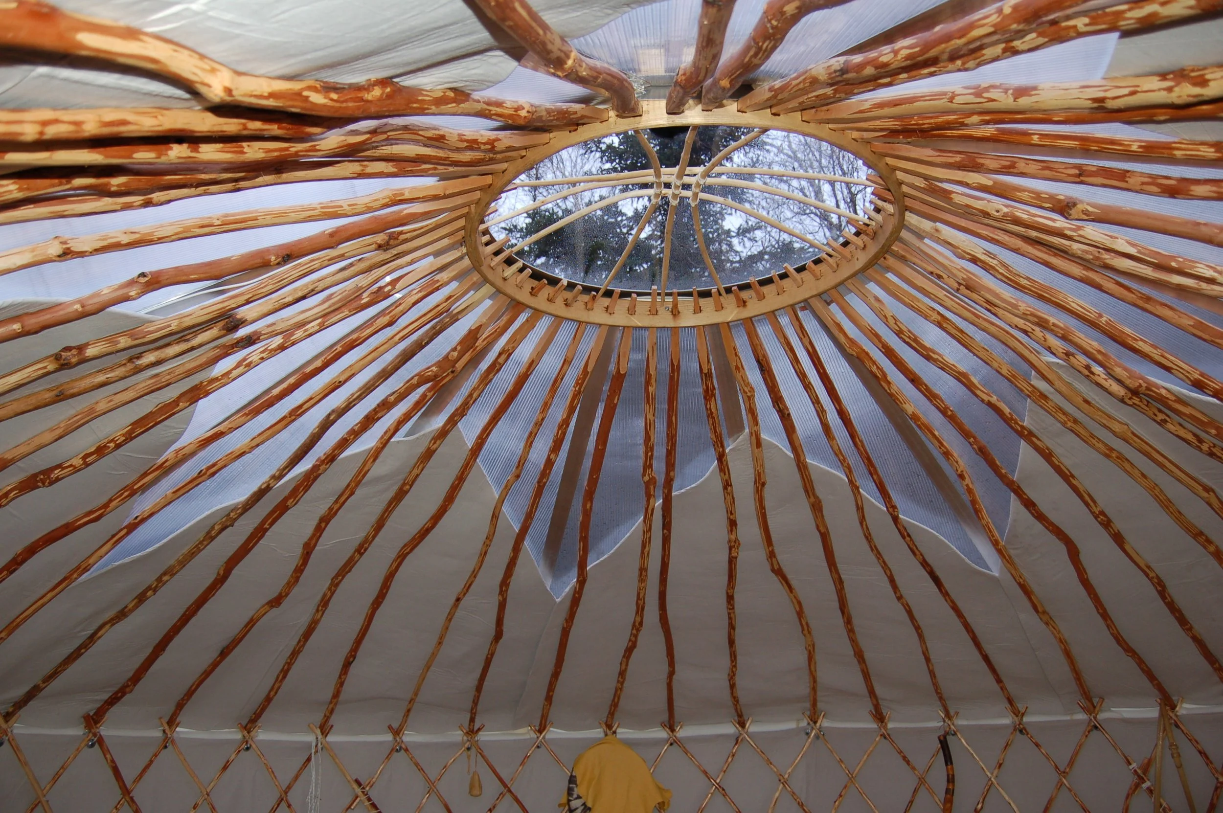 paula-musial-wheel-design.JPG
