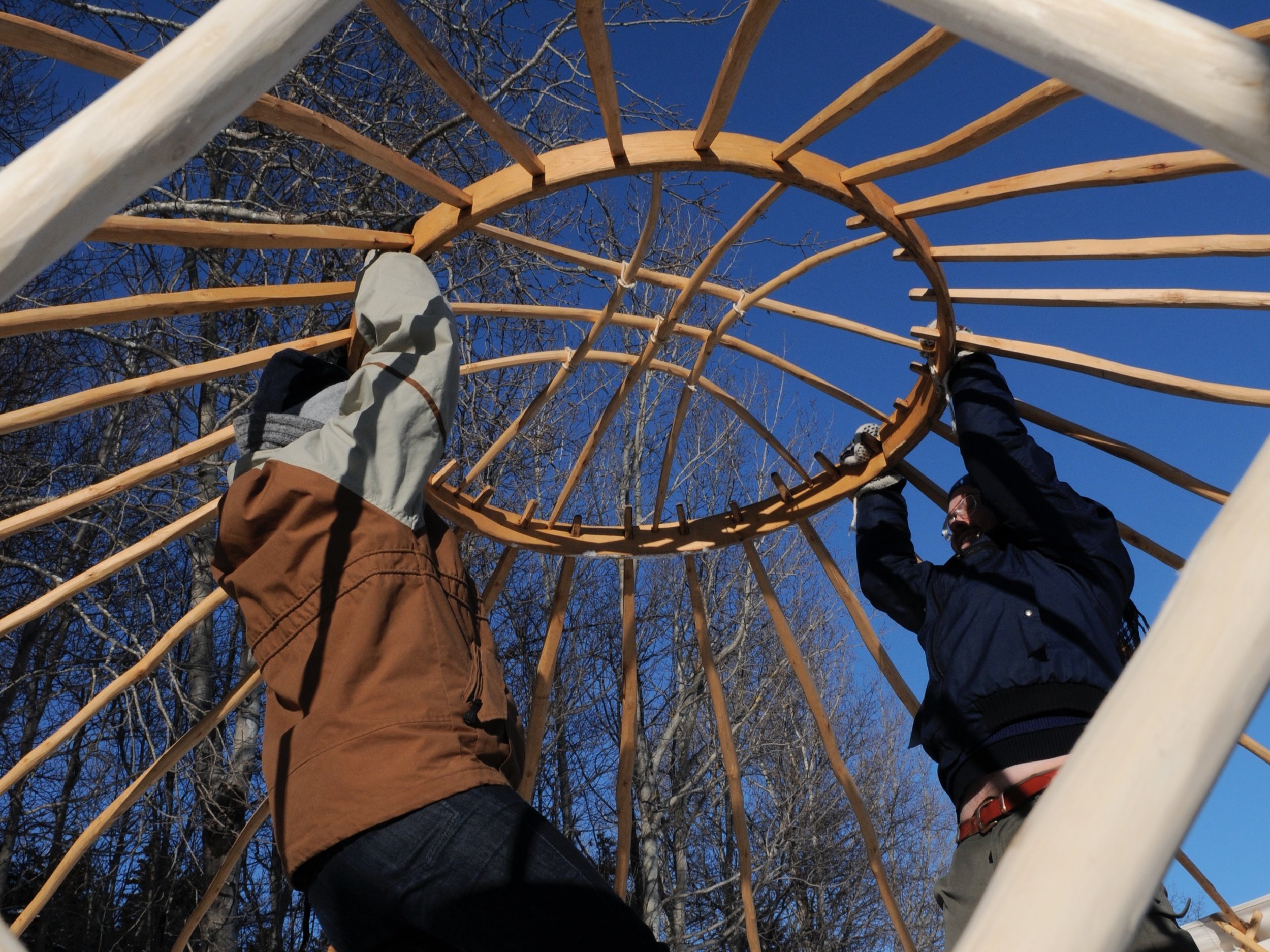 Demonstrating the strength of a steam bent ash yurt wheel.