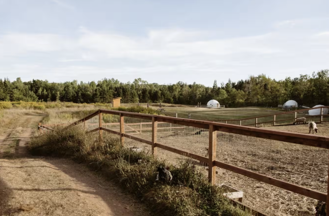 domes-wild-haven-farm-pasture.png
