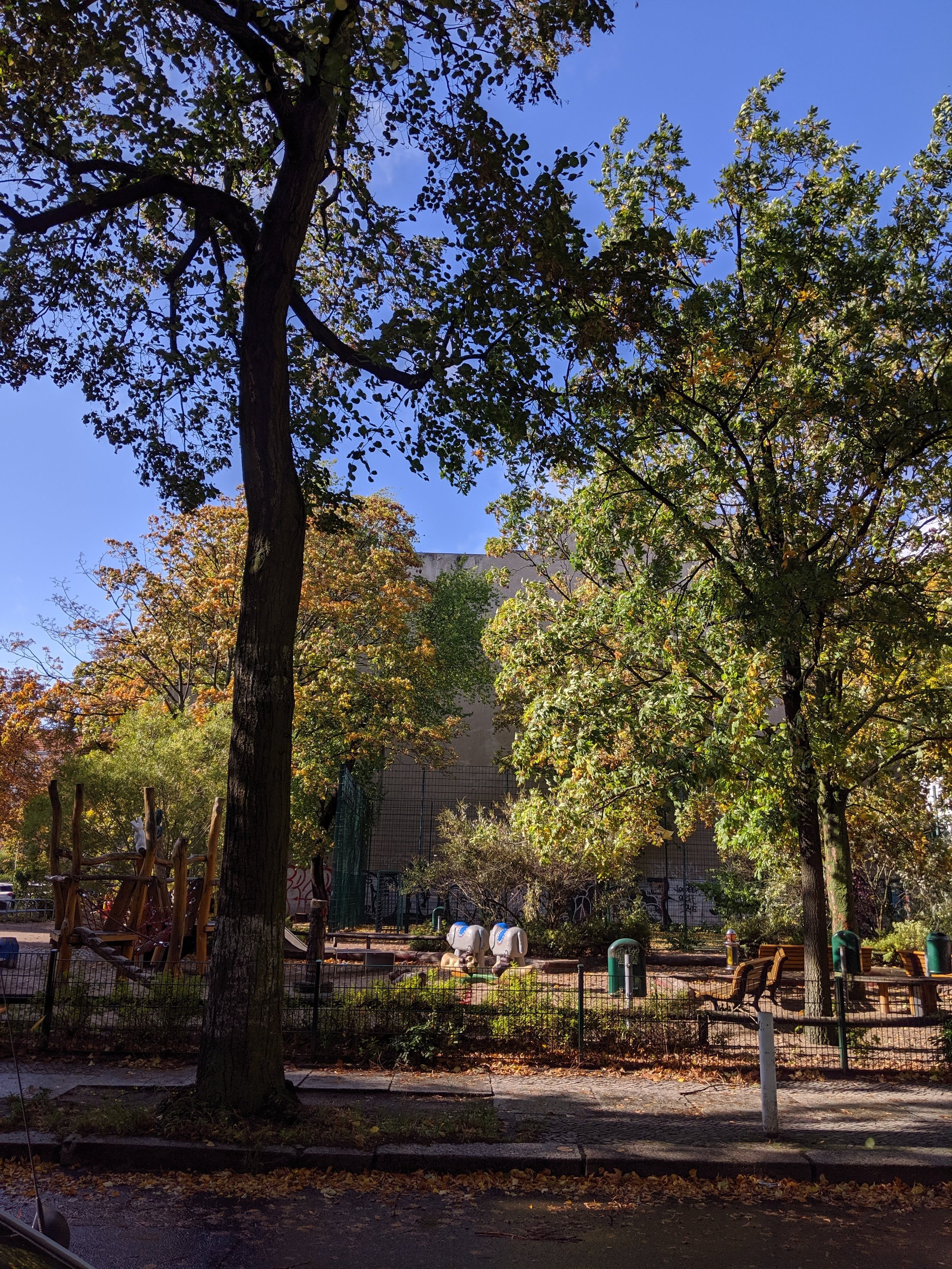MVIMG_20190930_144219.jpg