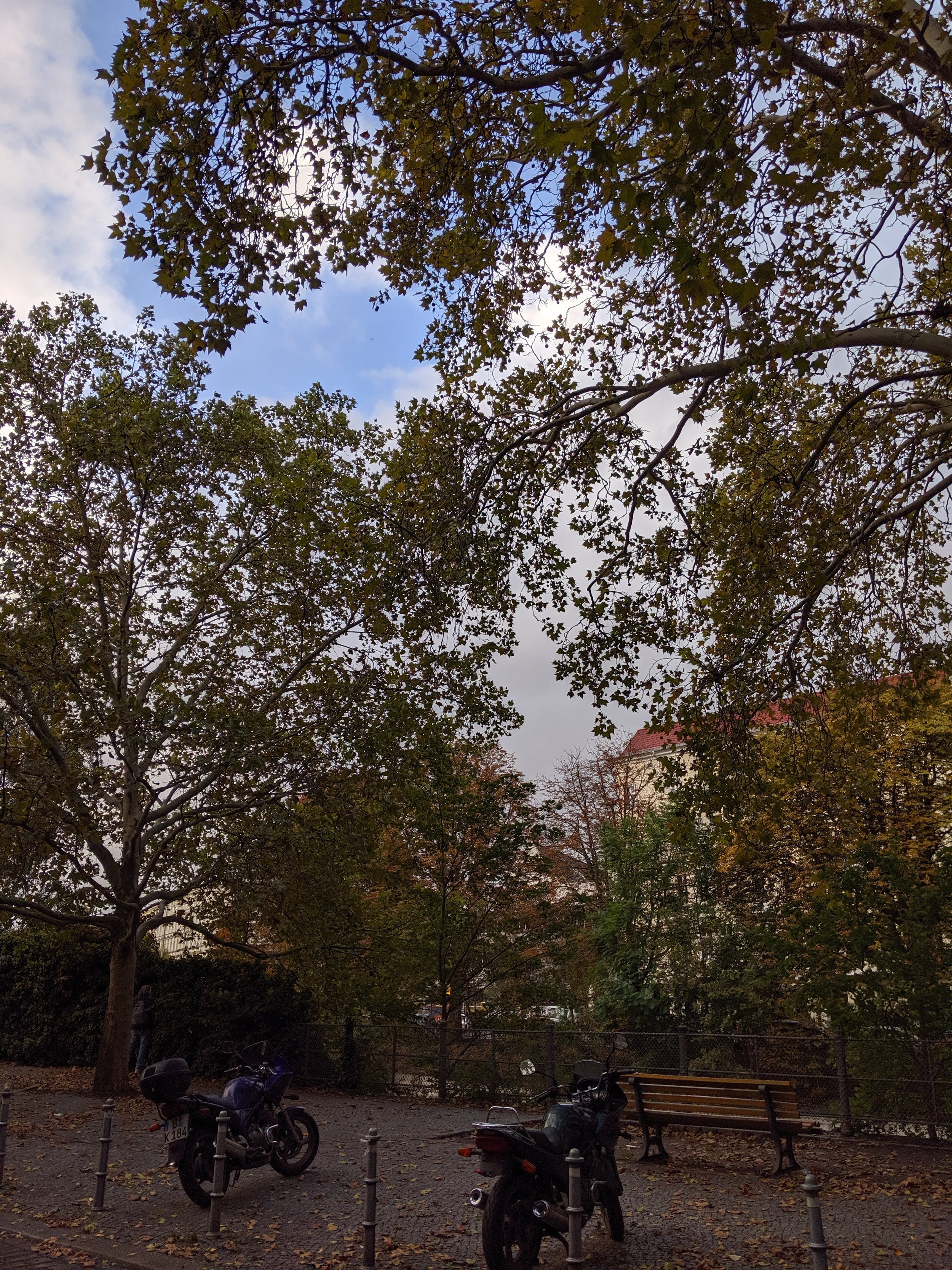 IMG_20190930_170532.jpg
