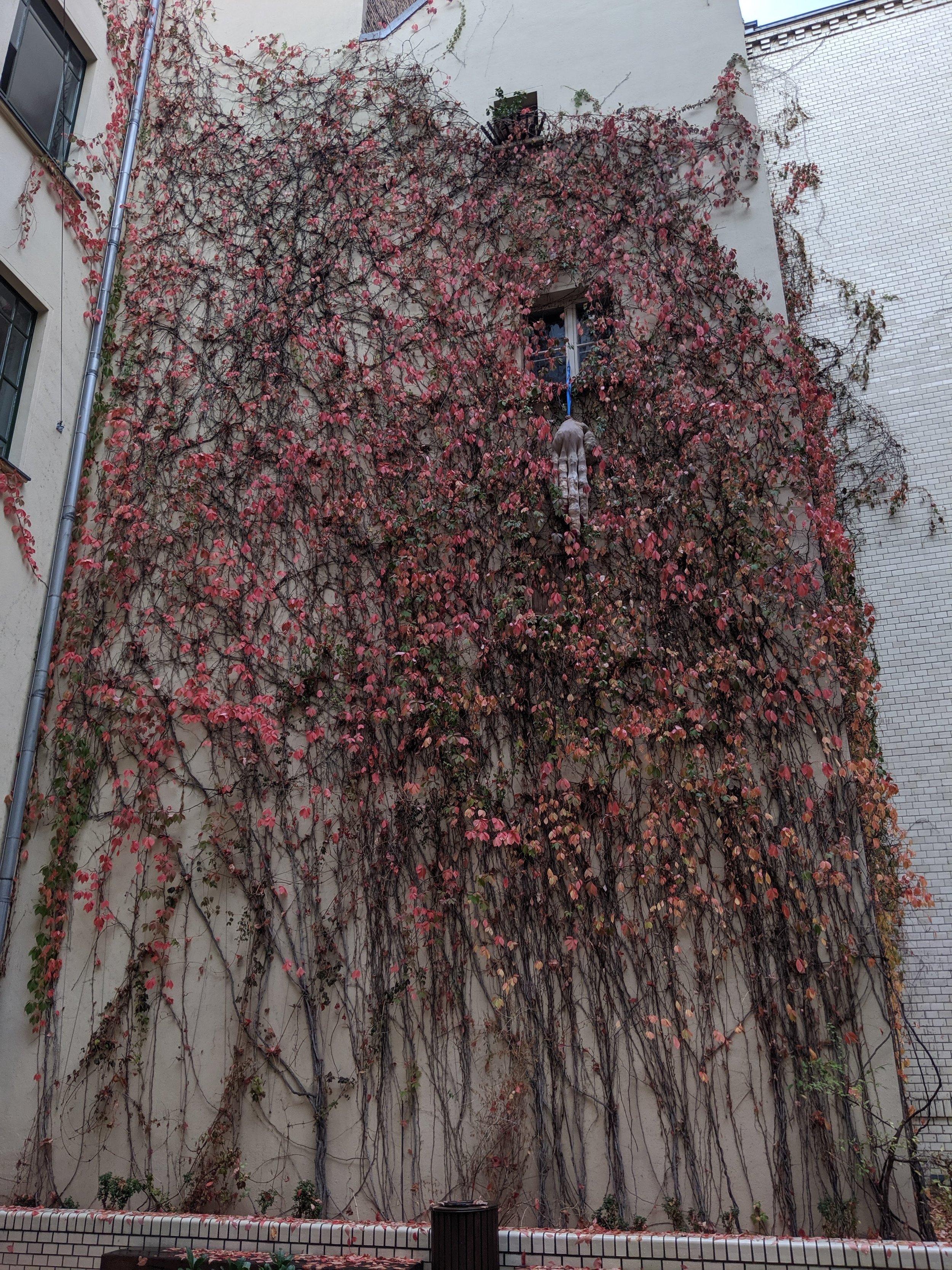 IMG_20190928_163846.jpg