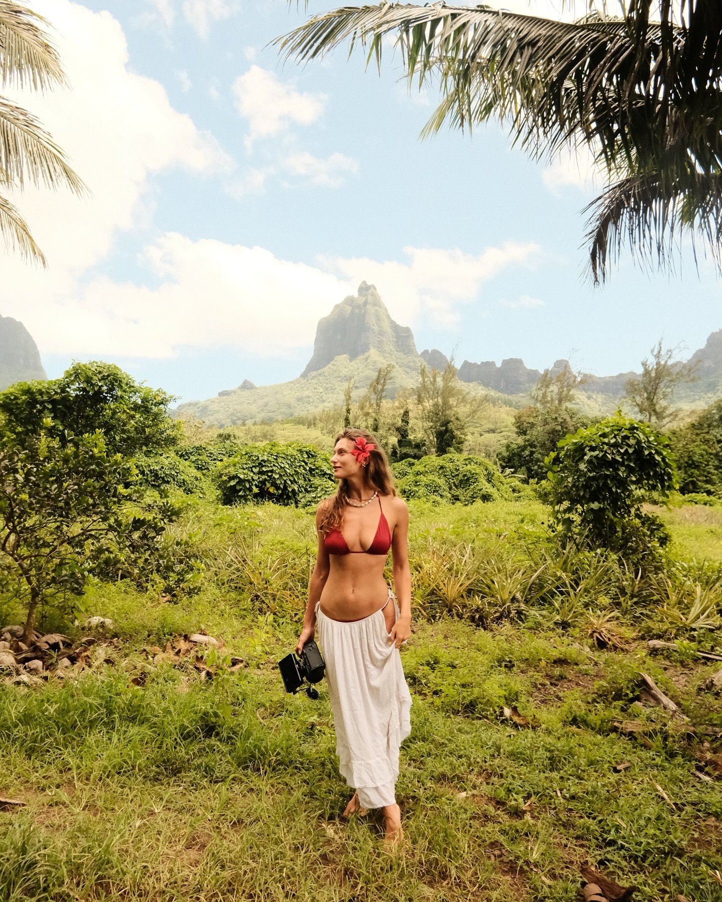 Mo&lsquo;orea on Fuji 🎥🌴

The islands of French Polynesua has been on my list for years and they truly blew me away. Feeling so grateful and connected to nature after this trip. 🍍

#frenchpolynesia #moorea #createexplore #rawmoments