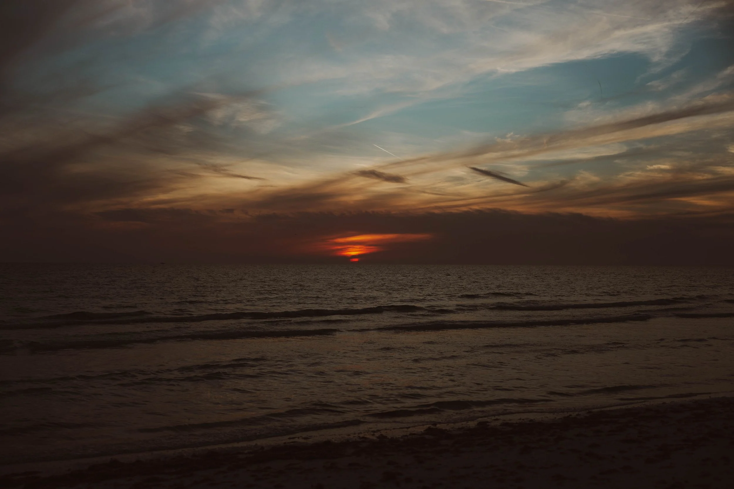IMG_7417.jpg