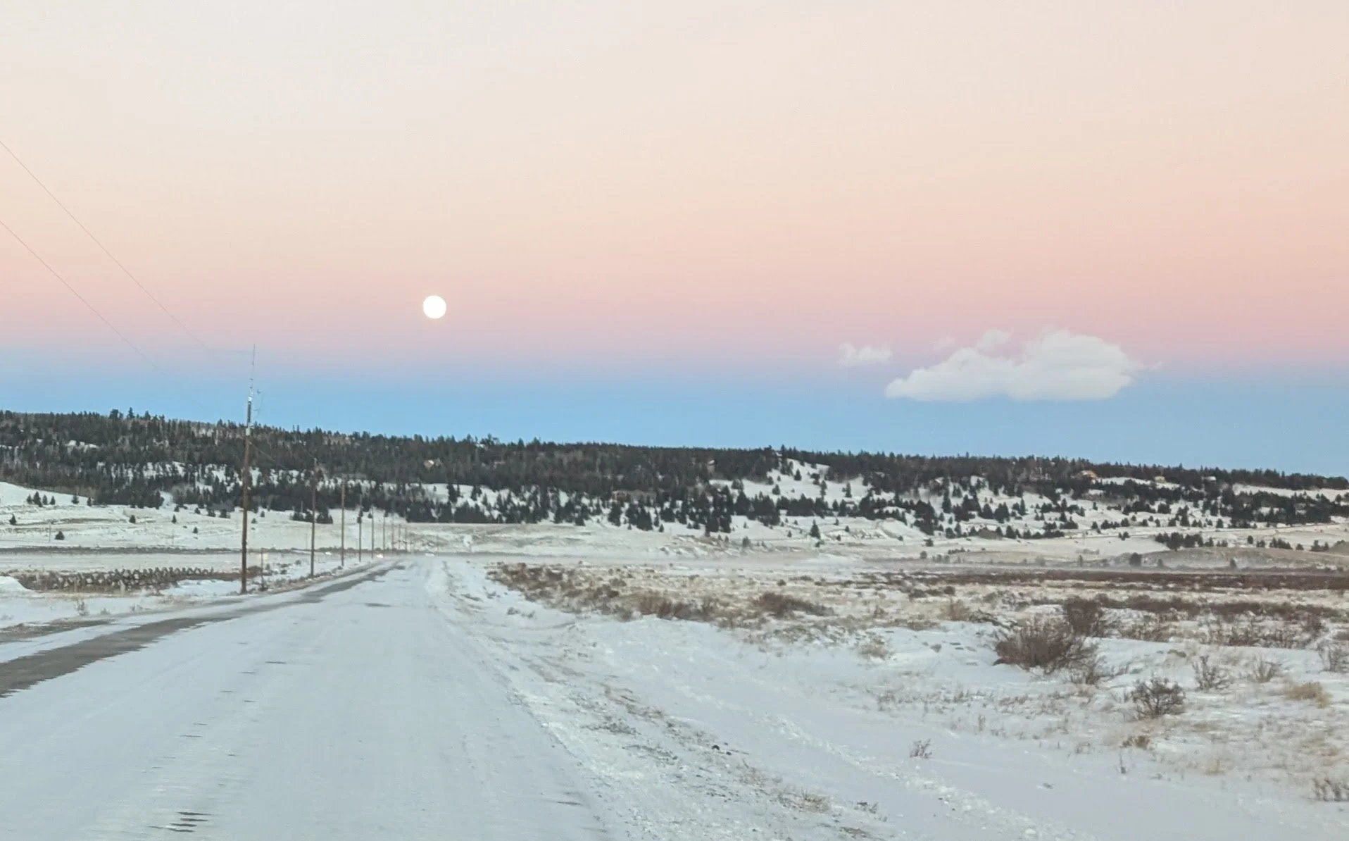 January Spark of Joy