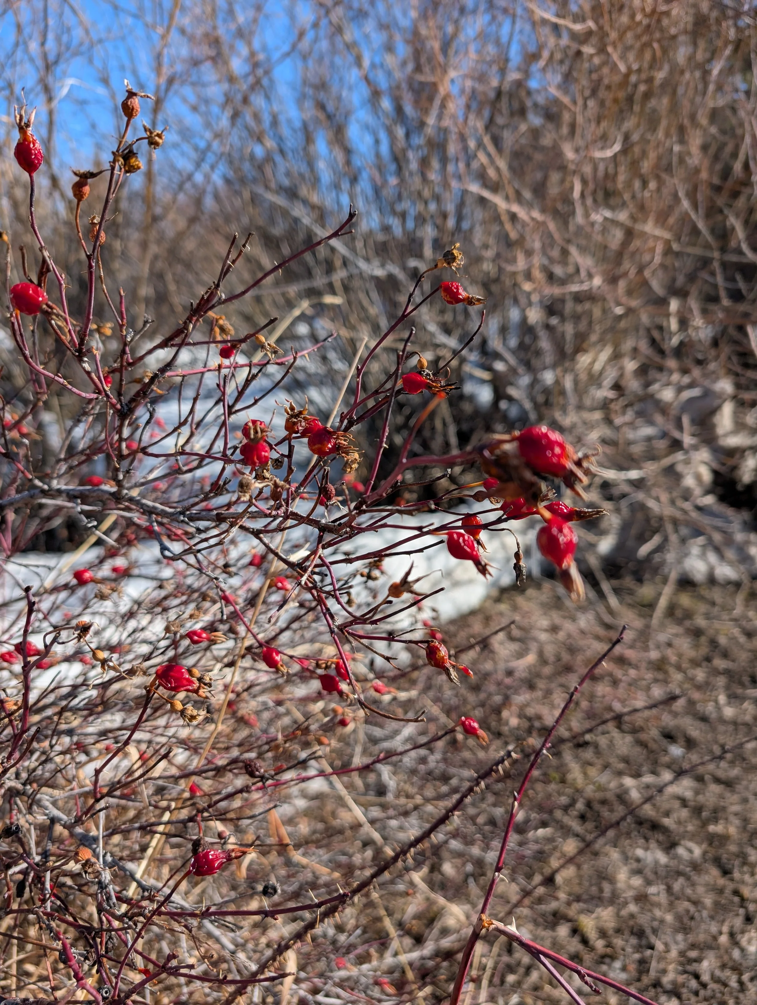 February’s Spark of Joy