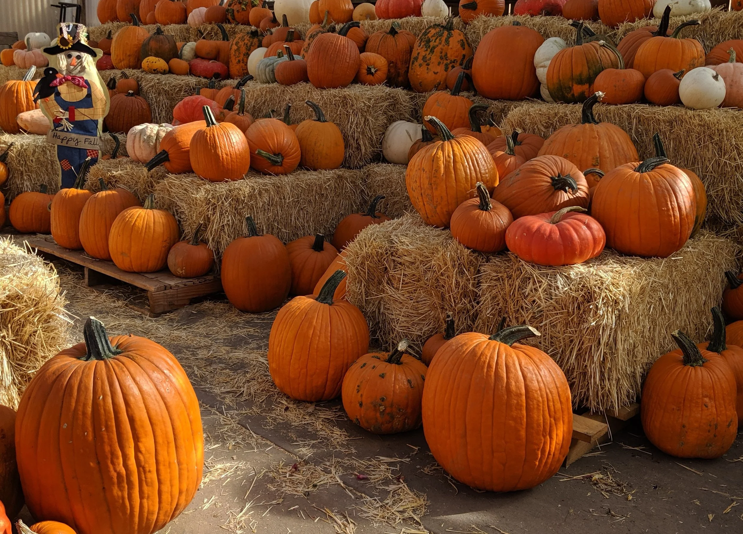 October’s Spark of Joy 