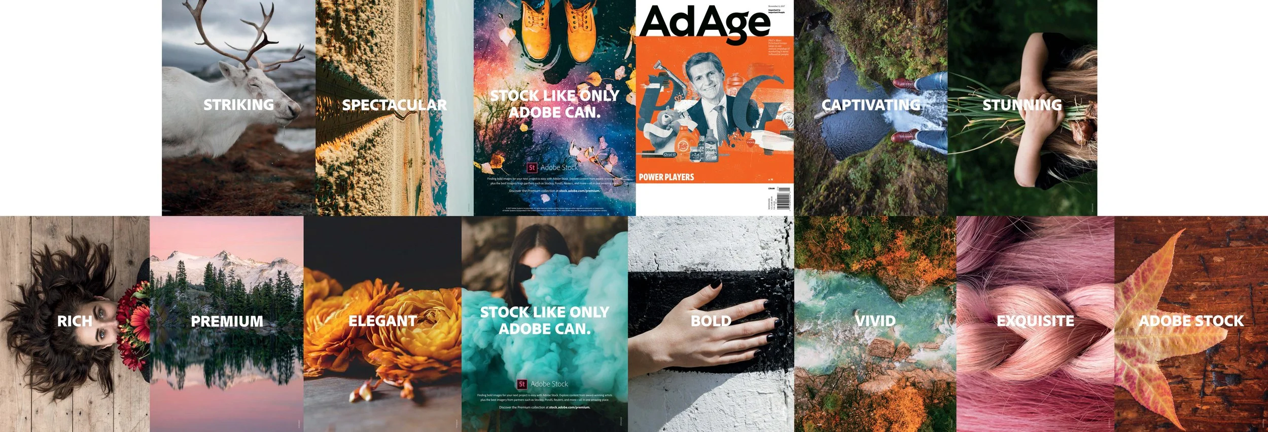 aa21web copy-1_outside.jpg