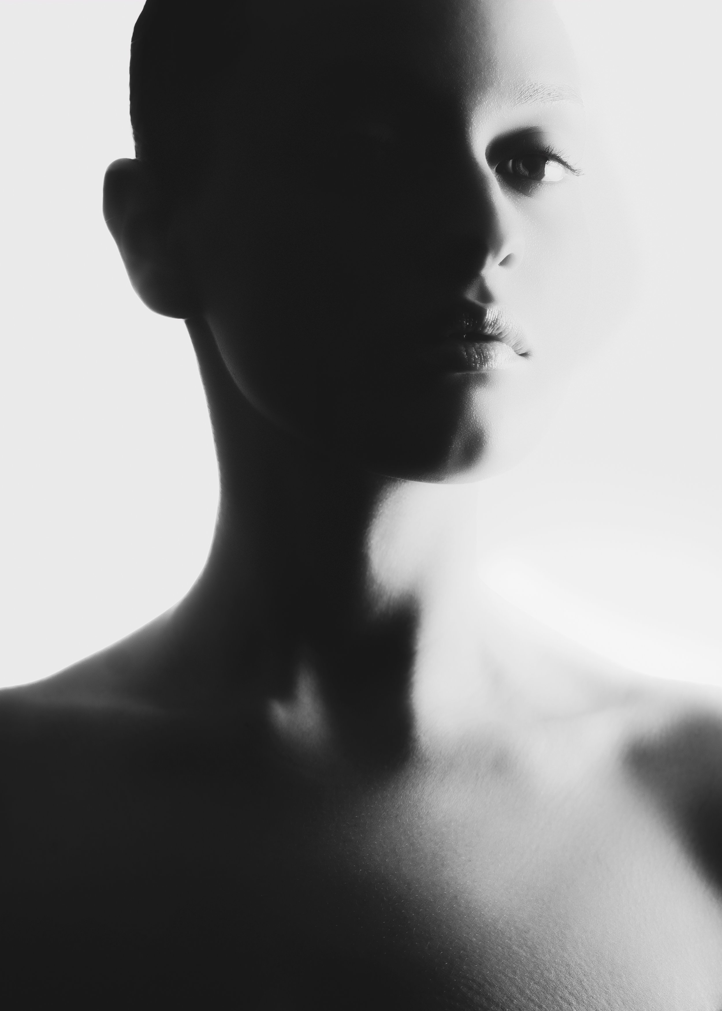 Harmony 2.0 | Tap to see the full session