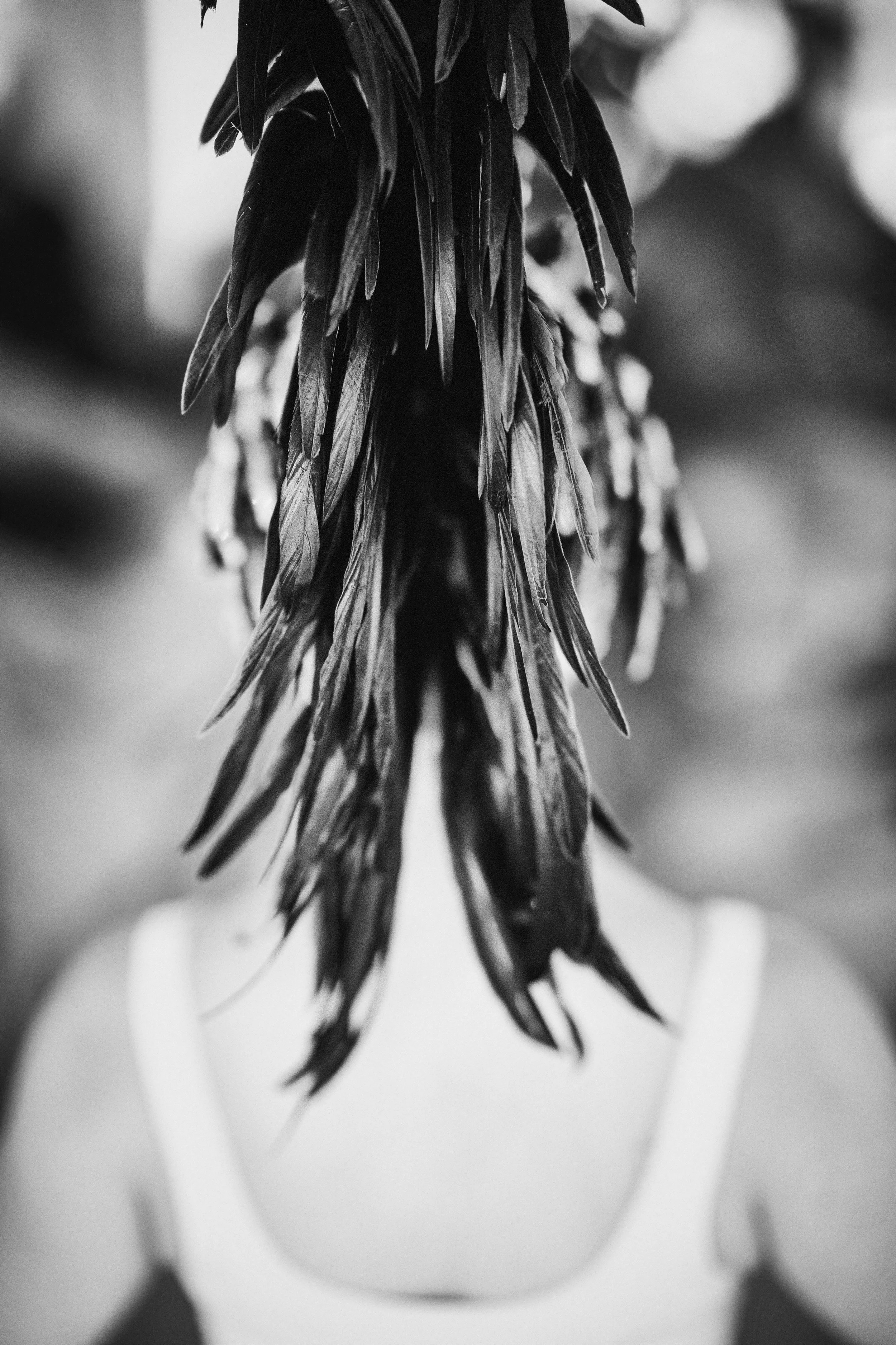 Close-up black and white photograph of a hanging flower with pointed petals, blurred background, and soft lighting.